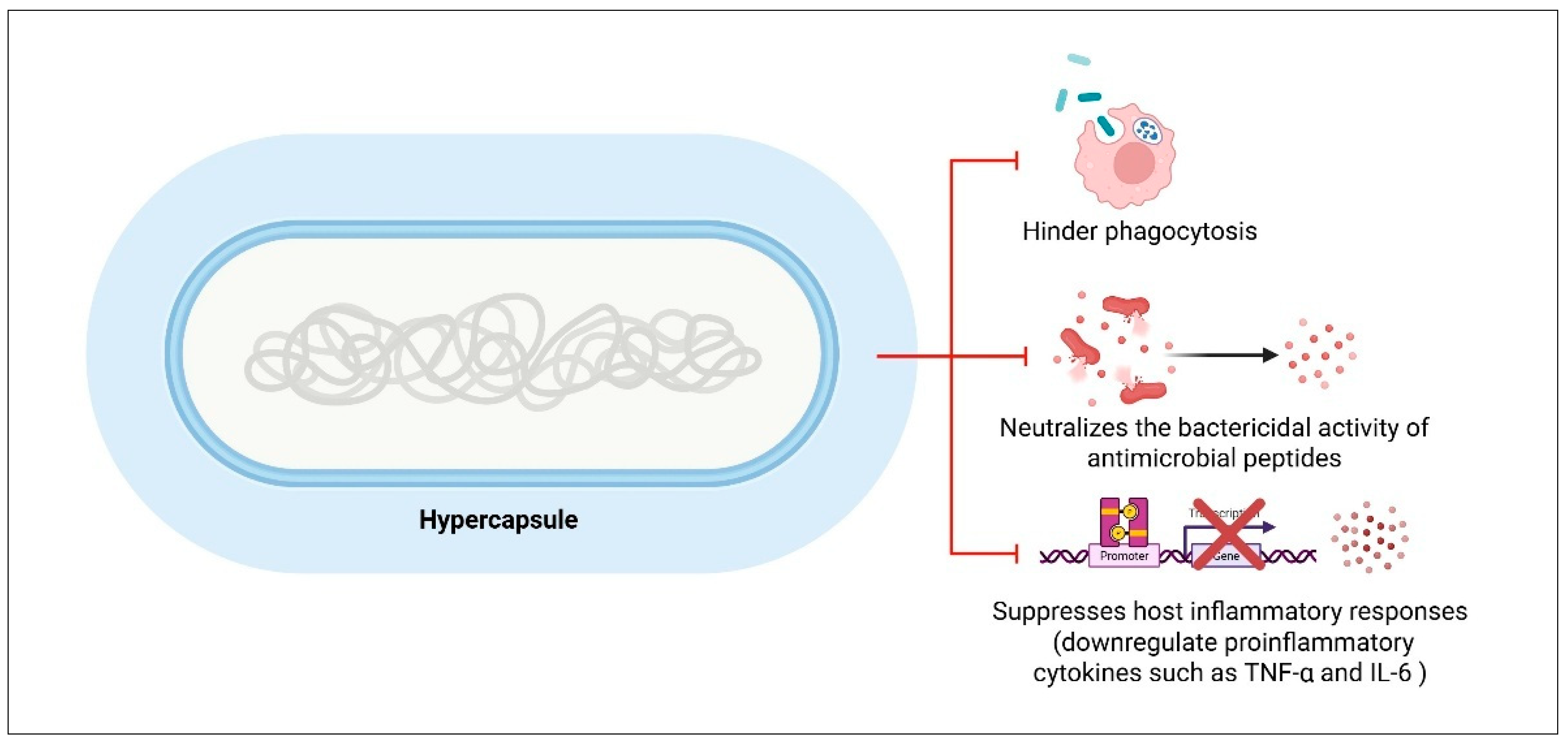Pharmaceuticals 18 00724 g003