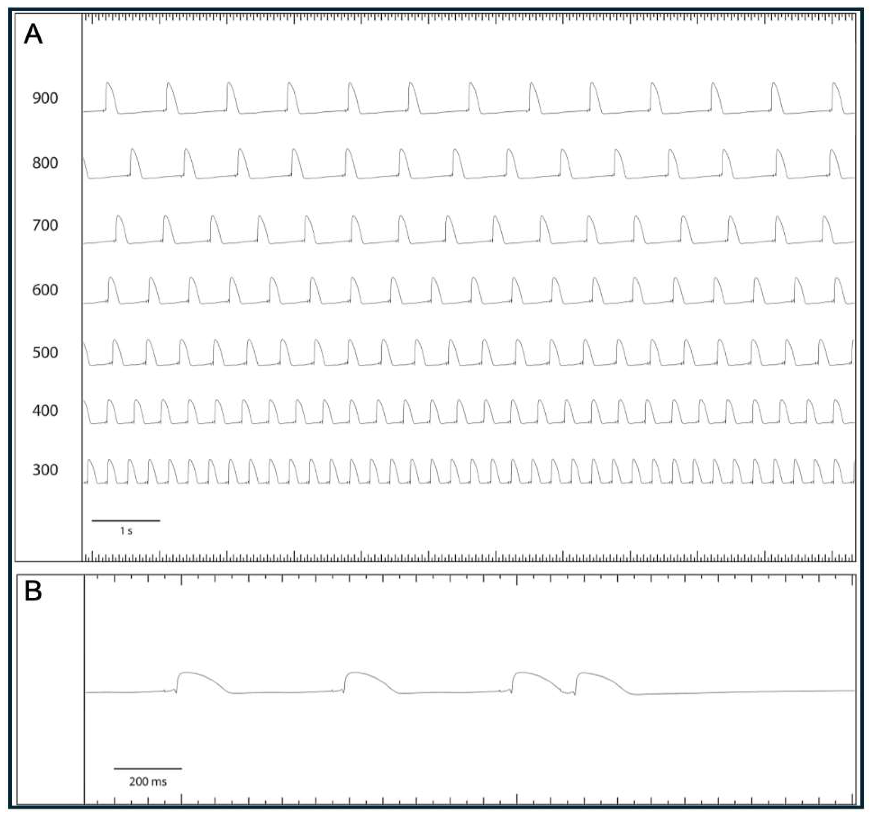 Pharmaceuticals 18 00726 g005 Pharmaceuticals 18 00726 g005