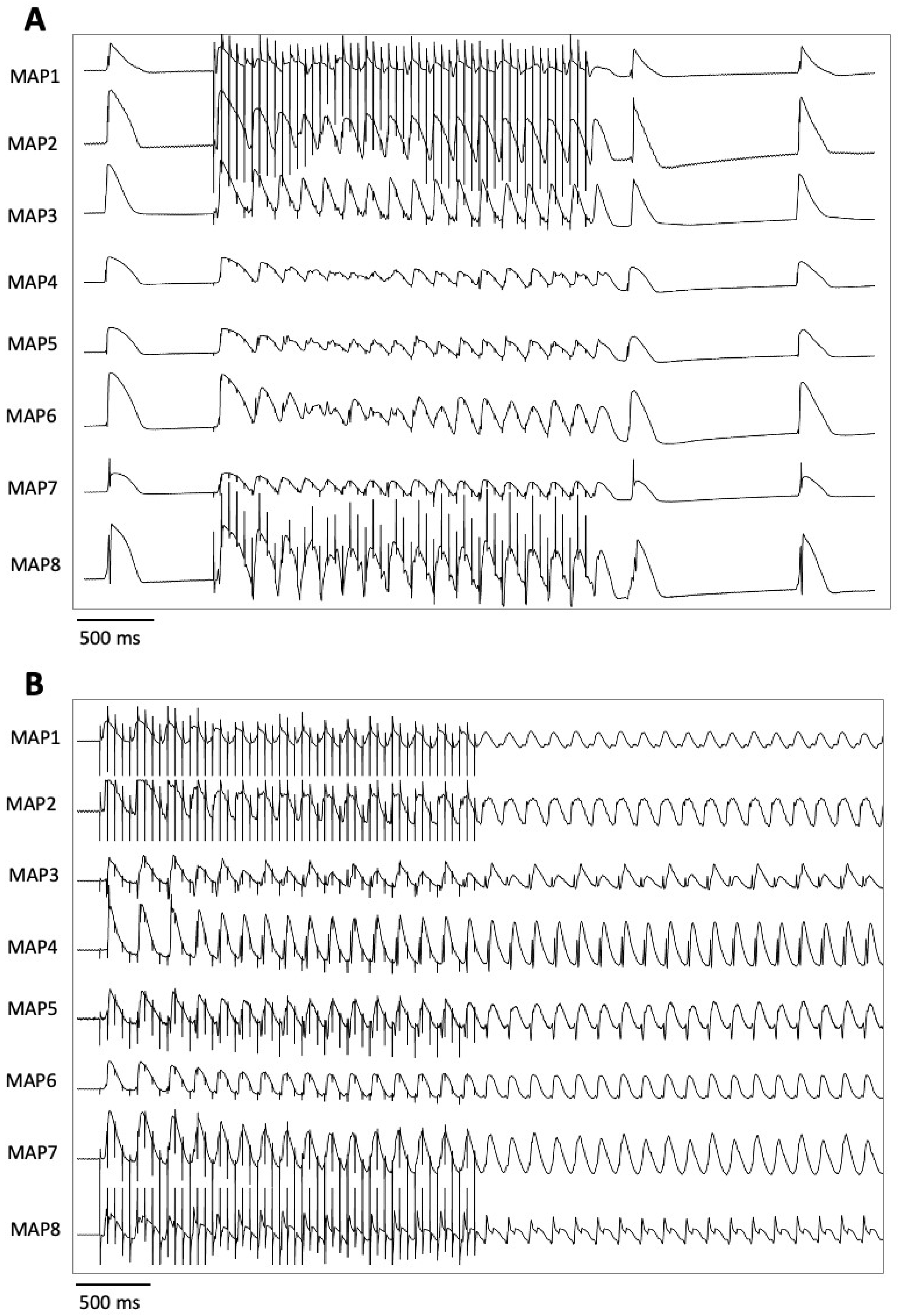 Pharmaceuticals 18 00726 g007 Pharmaceuticals 18 00726 g007