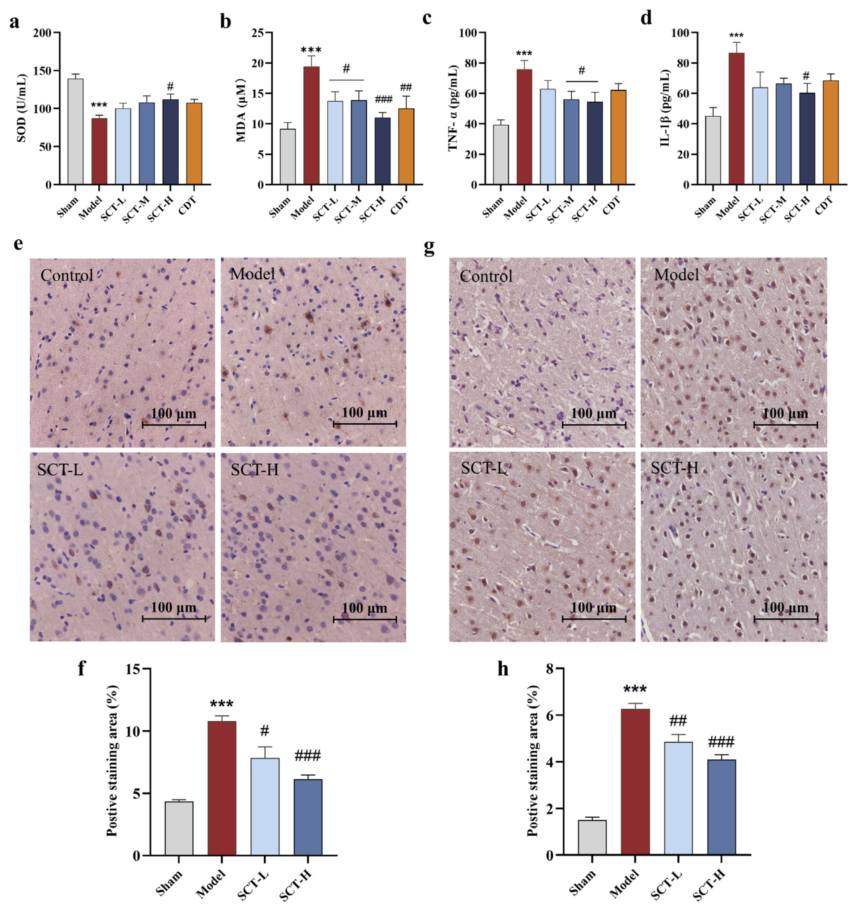Pharmaceuticals 18 00728 g004