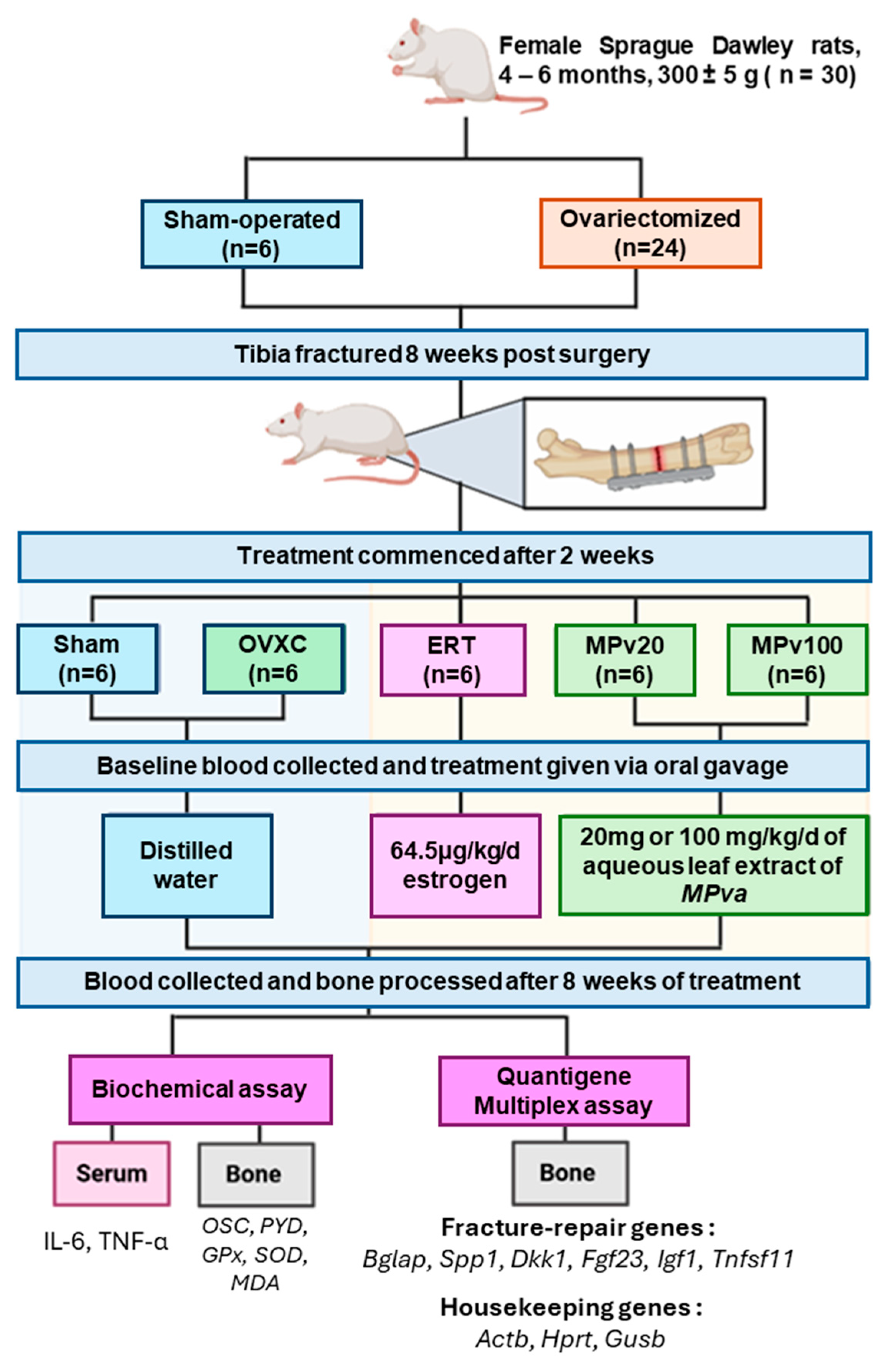 Pharmaceuticals 18 00736 g005 Pharmaceuticals 18 00736 g005
