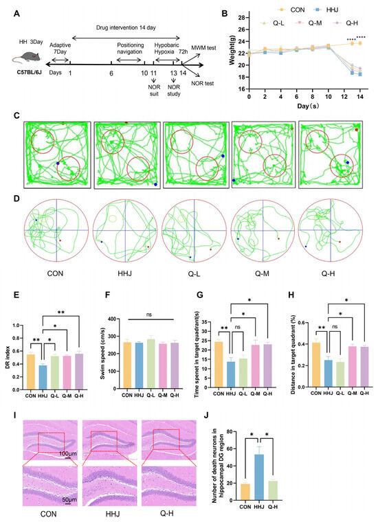 Neuroprotective Effects of Qi Jing Wan and Its Active