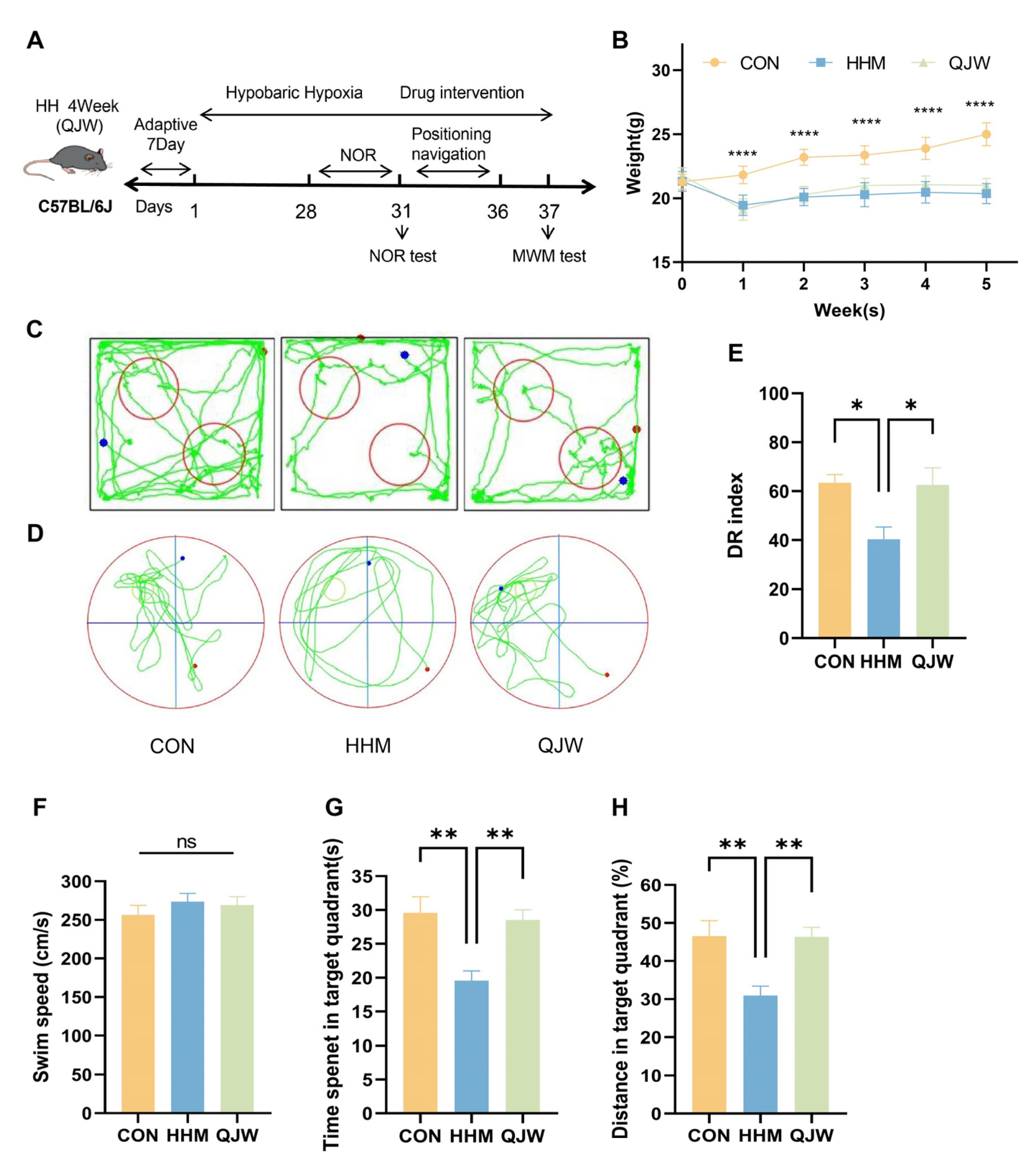 Pharmaceuticals 18 00738 g002