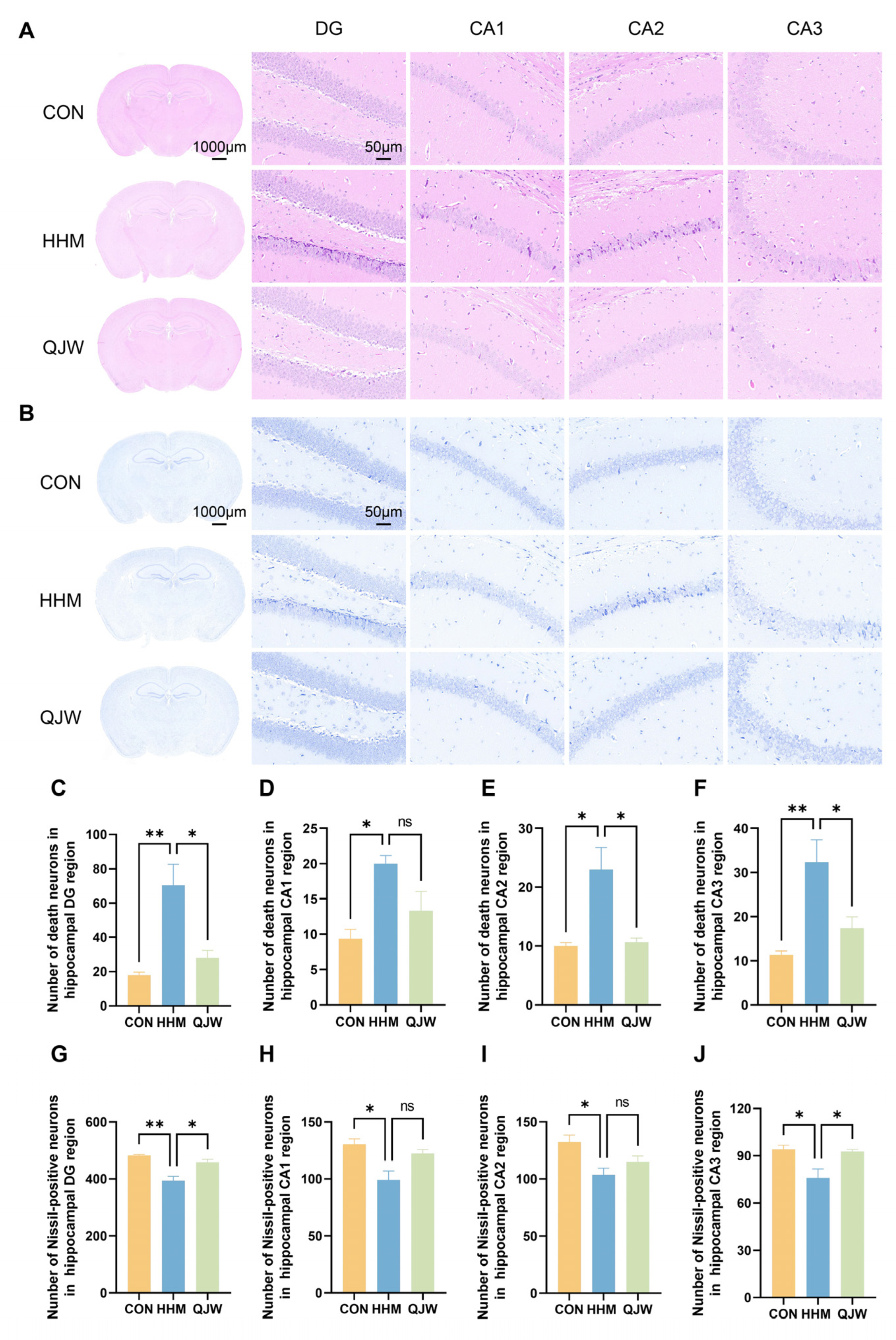 Pharmaceuticals 18 00738 g003