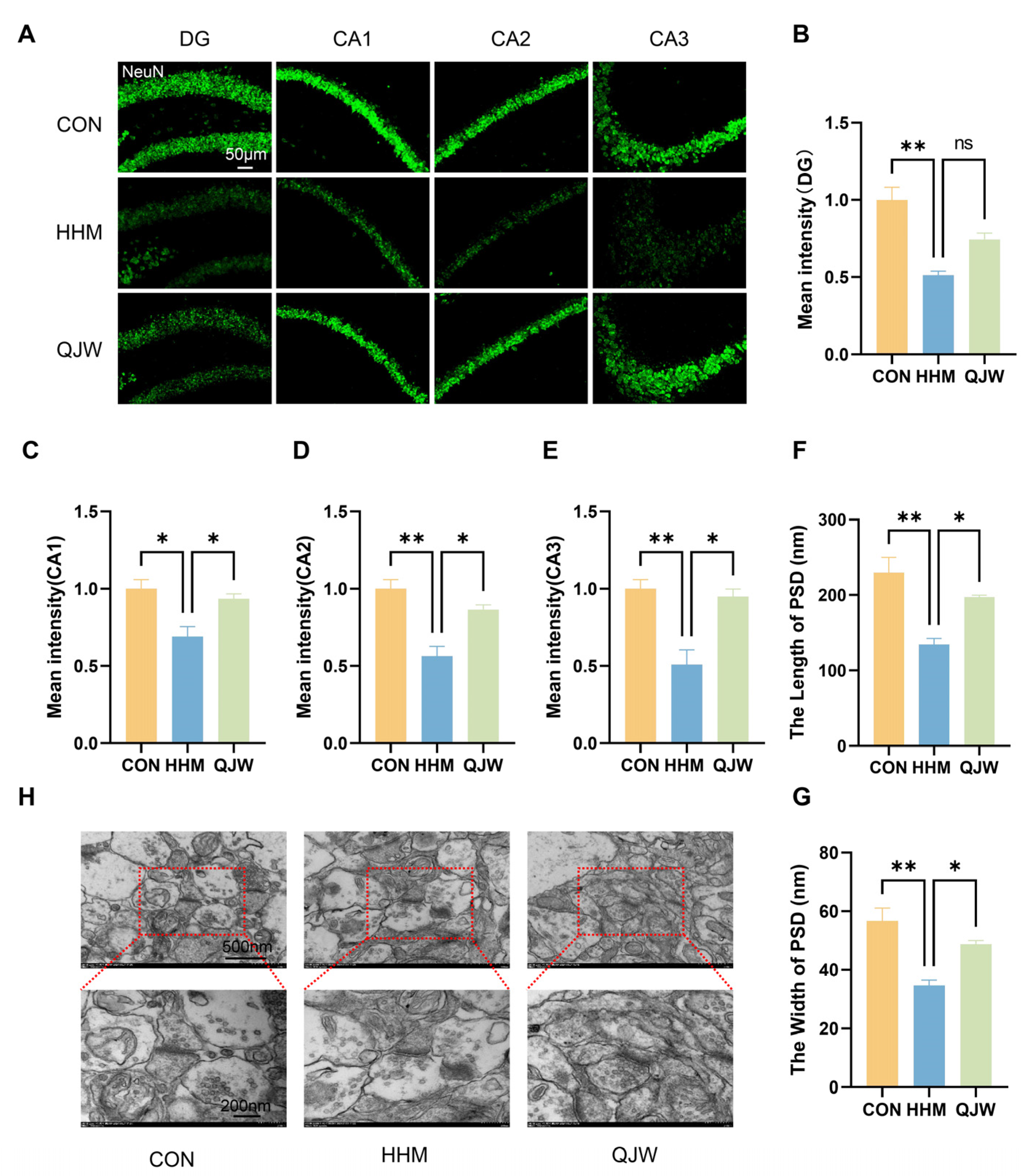 Pharmaceuticals 18 00738 g004
