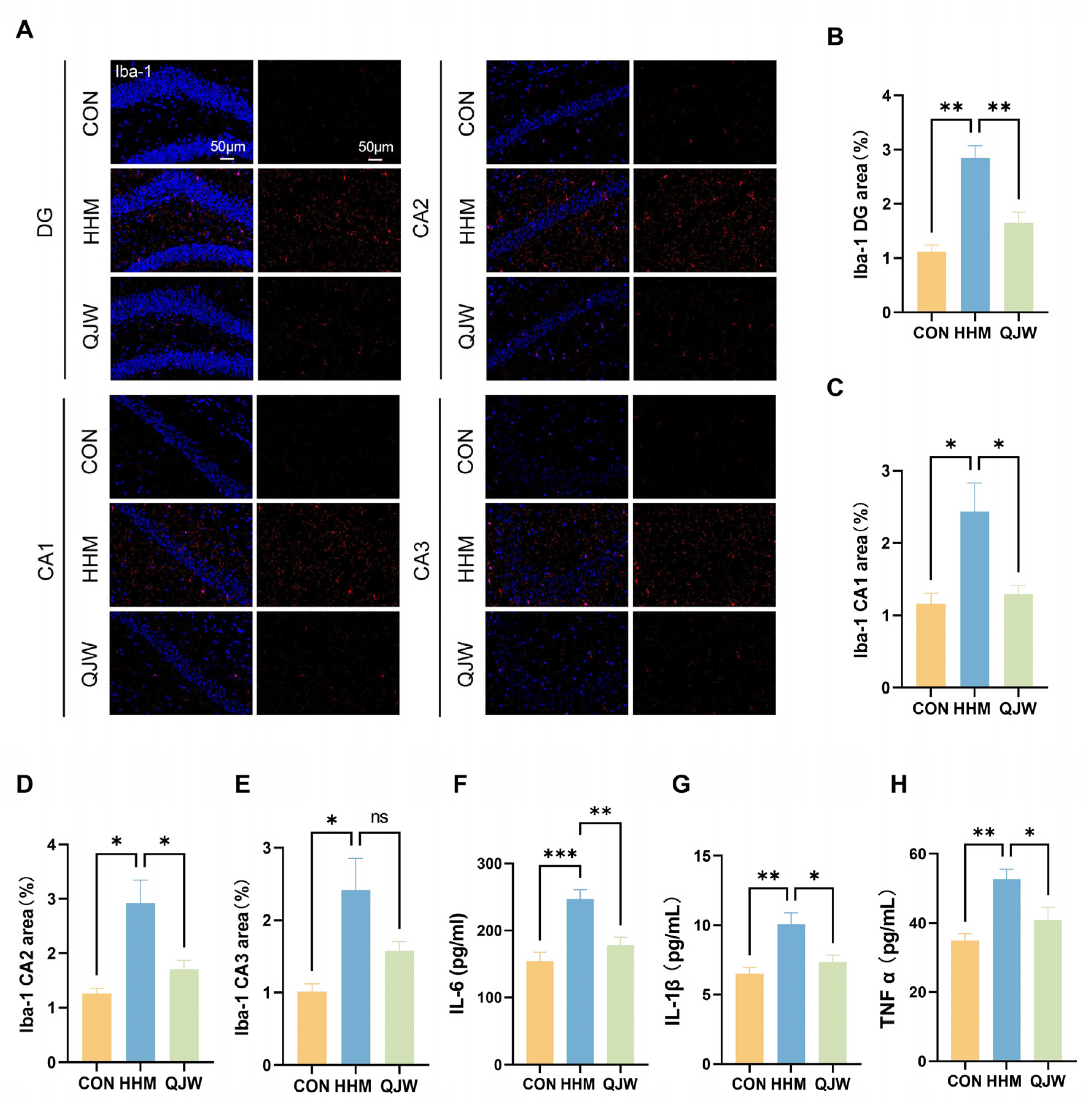 Pharmaceuticals 18 00738 g005