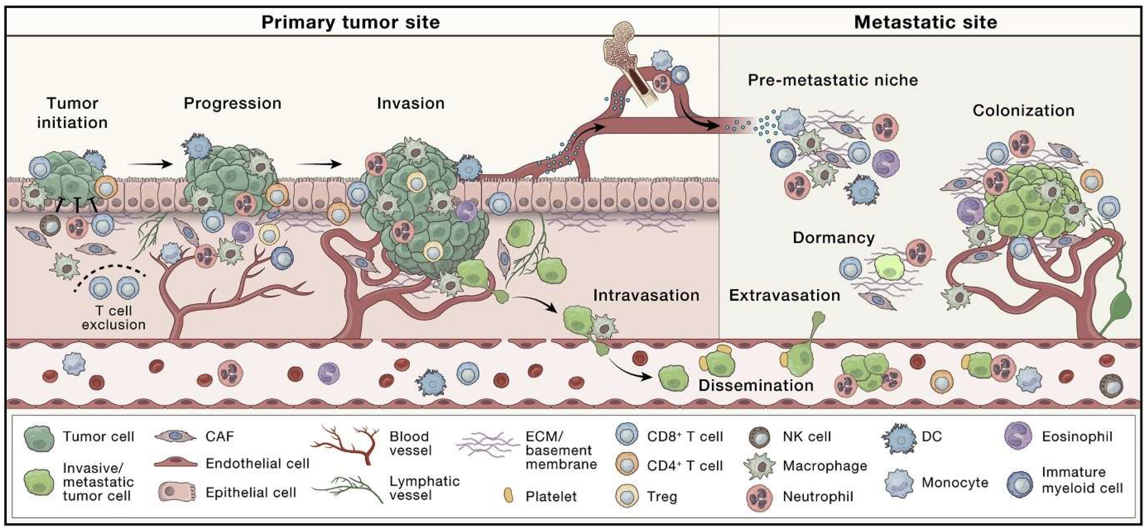 Pharmaceuticals 18 00746 g001 Pharmaceuticals 18 00746 g001