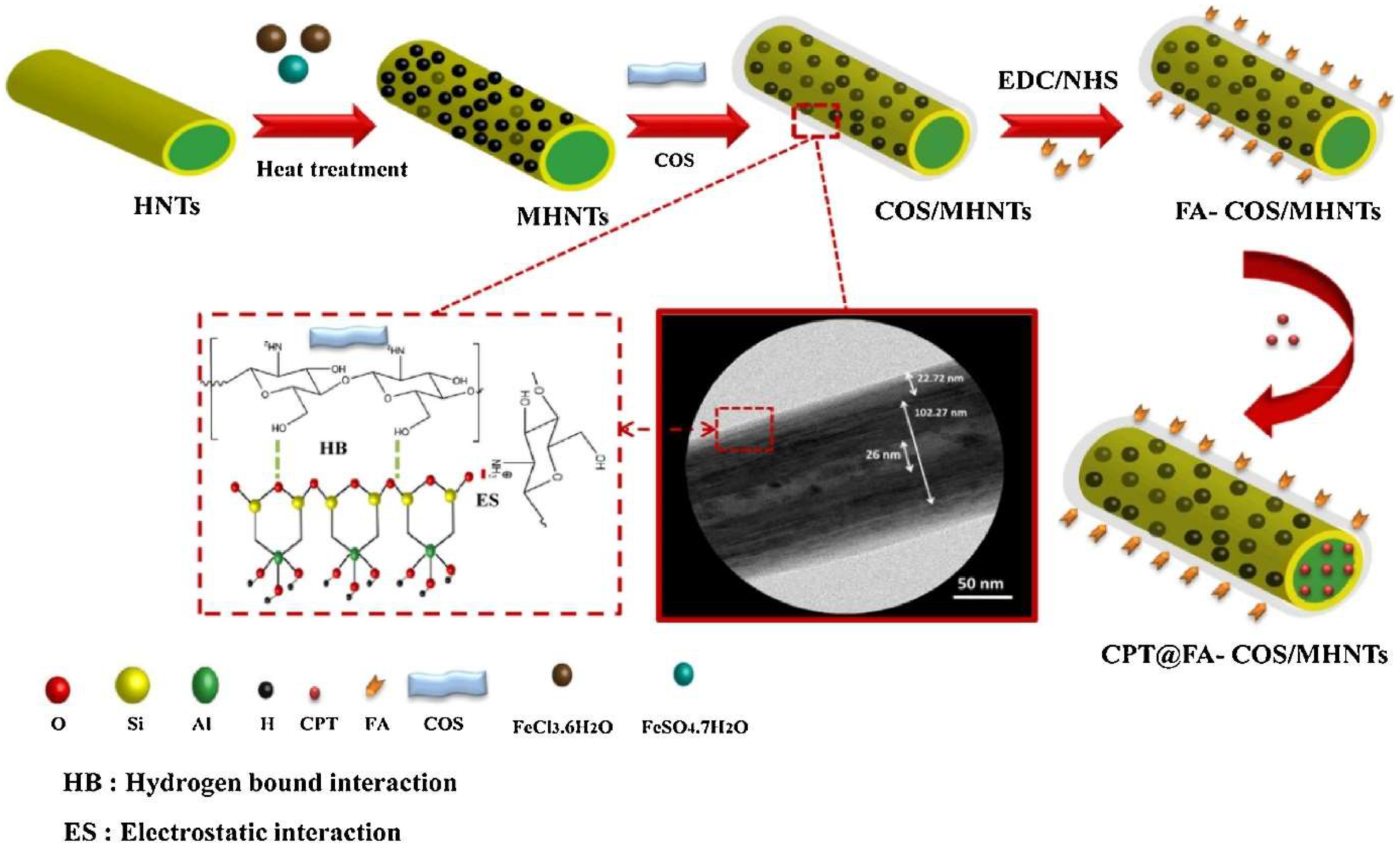 Pharmaceuticals 18 00746 g003 Pharmaceuticals 18 00746 g003