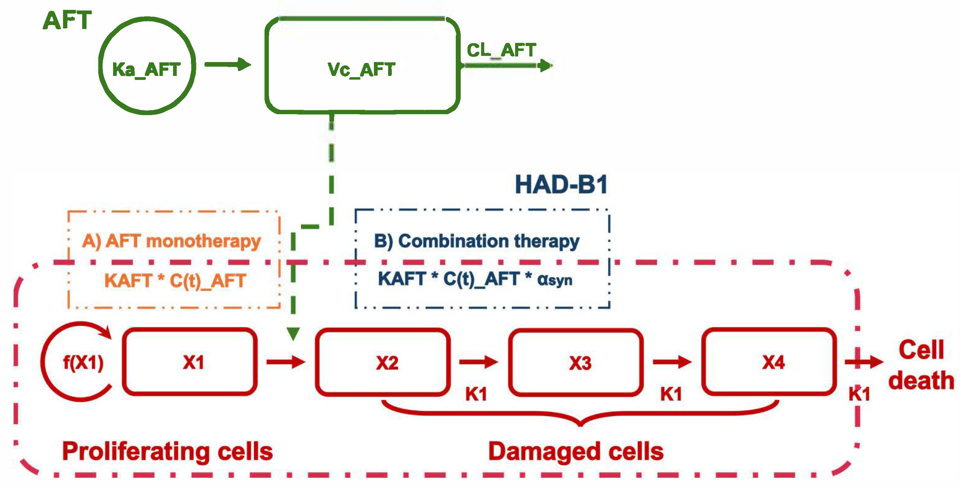 Pharmaceuticals 18 00748 g003