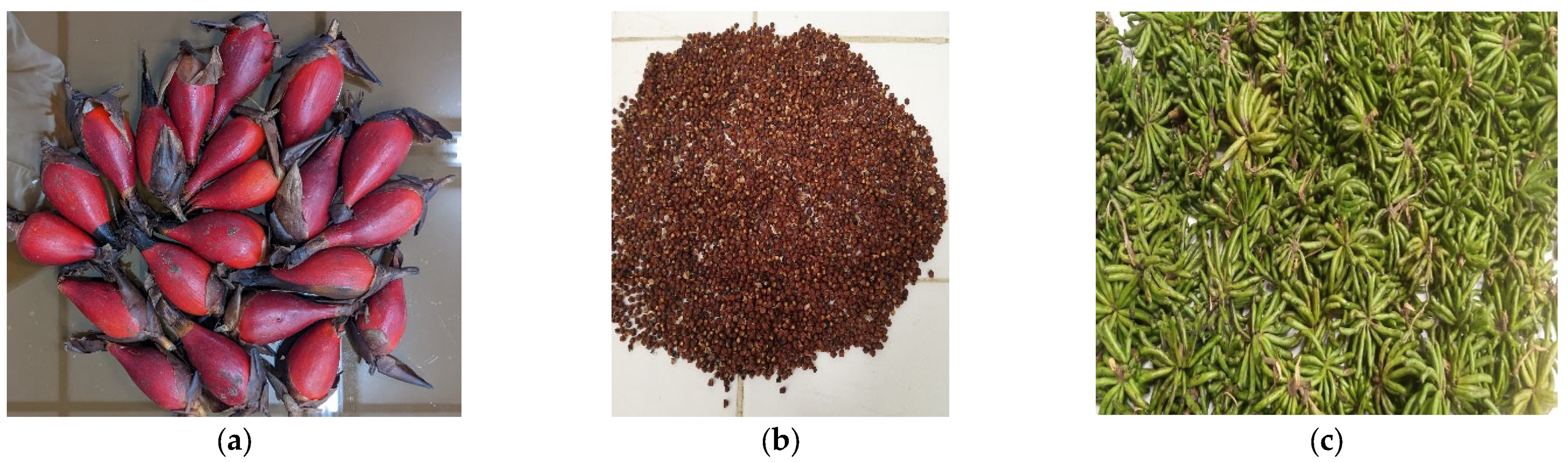 Pharmaceuticals 18 00749 g006