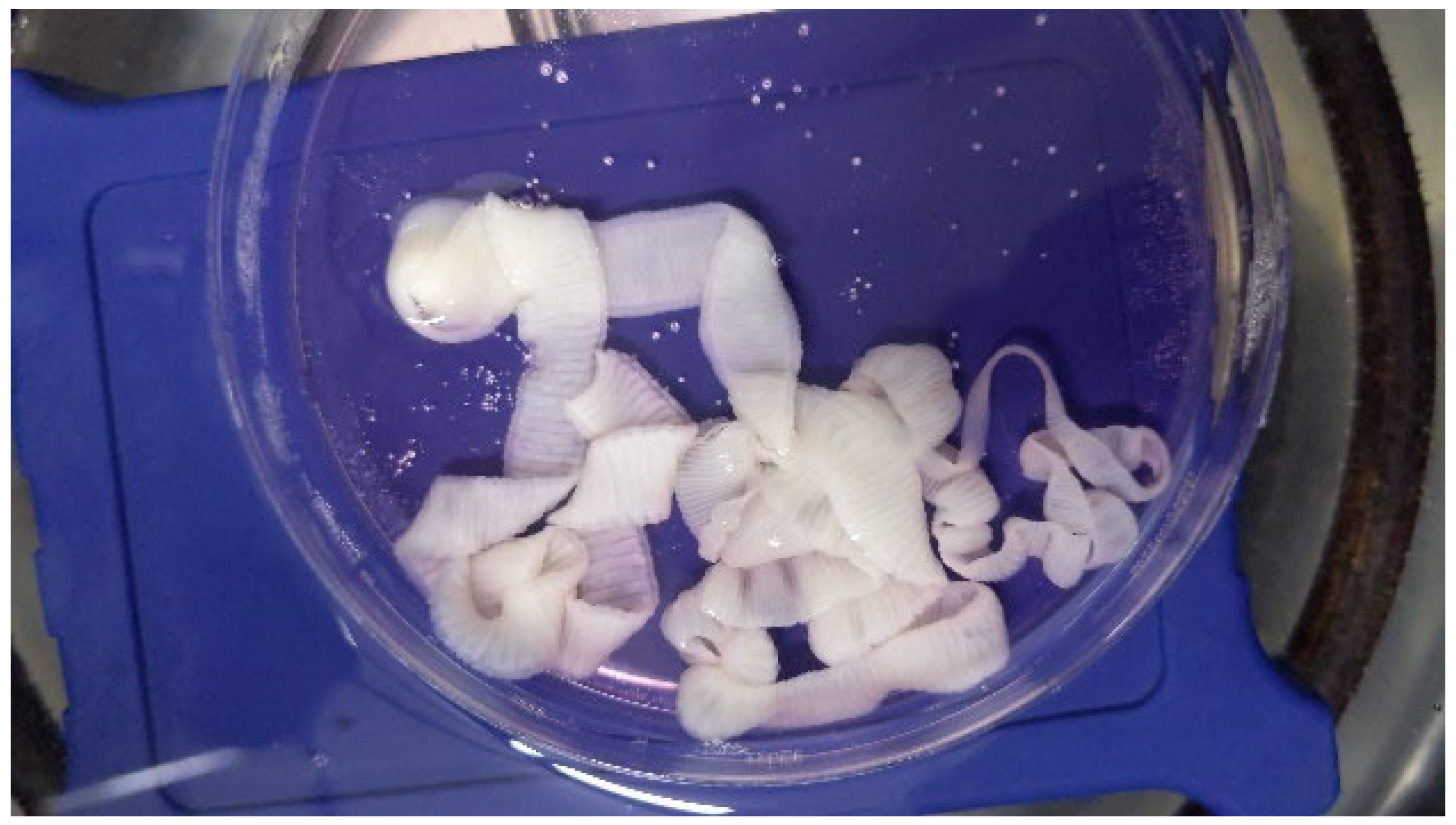 Pharmaceuticals 18 00749 g007