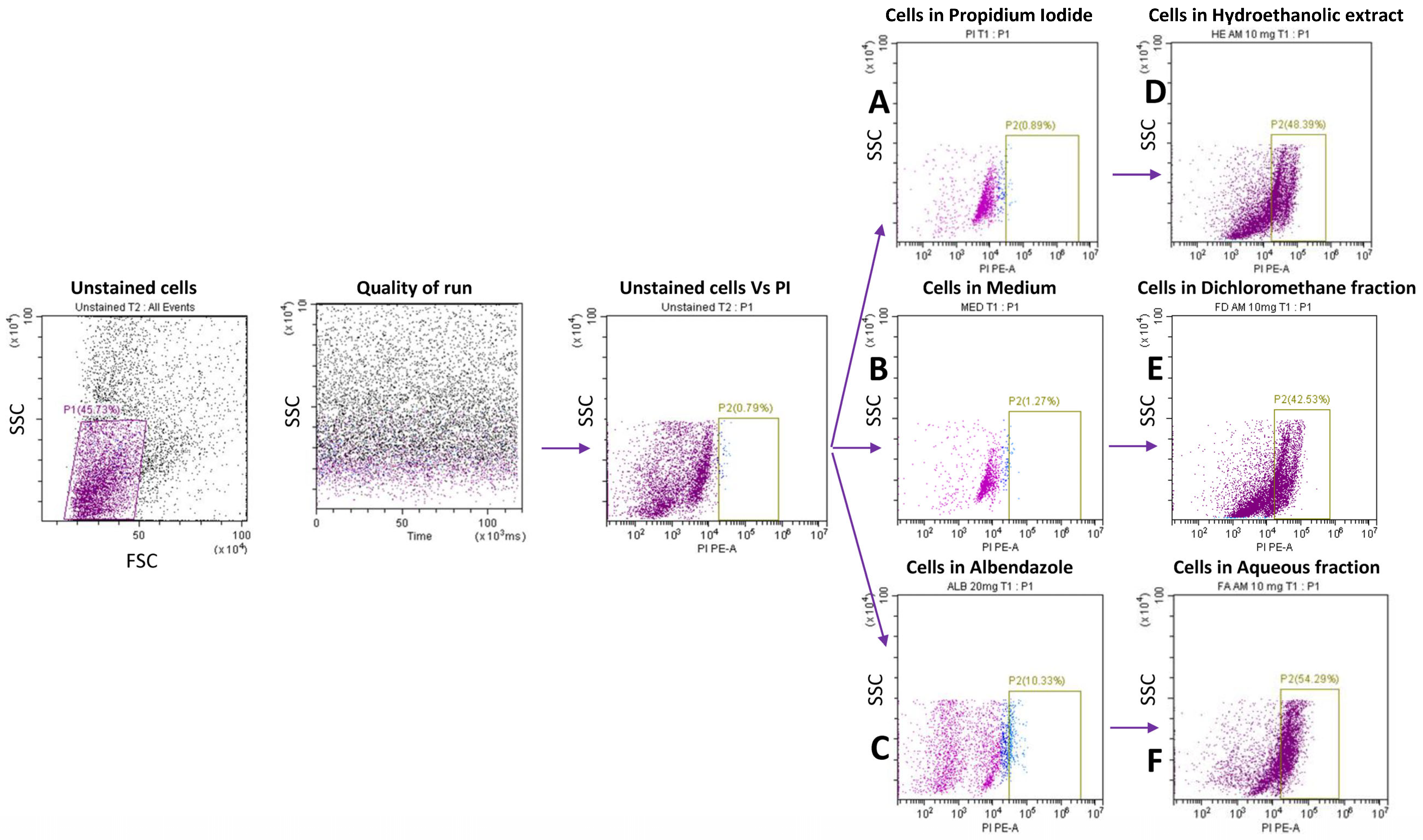 Pharmaceuticals 18 00749 g008