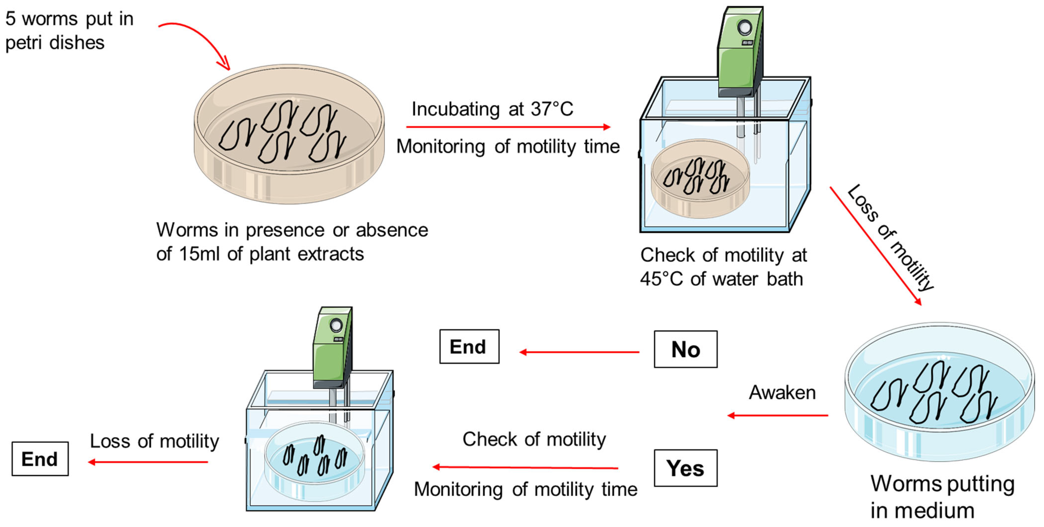 Pharmaceuticals 18 00749 g009