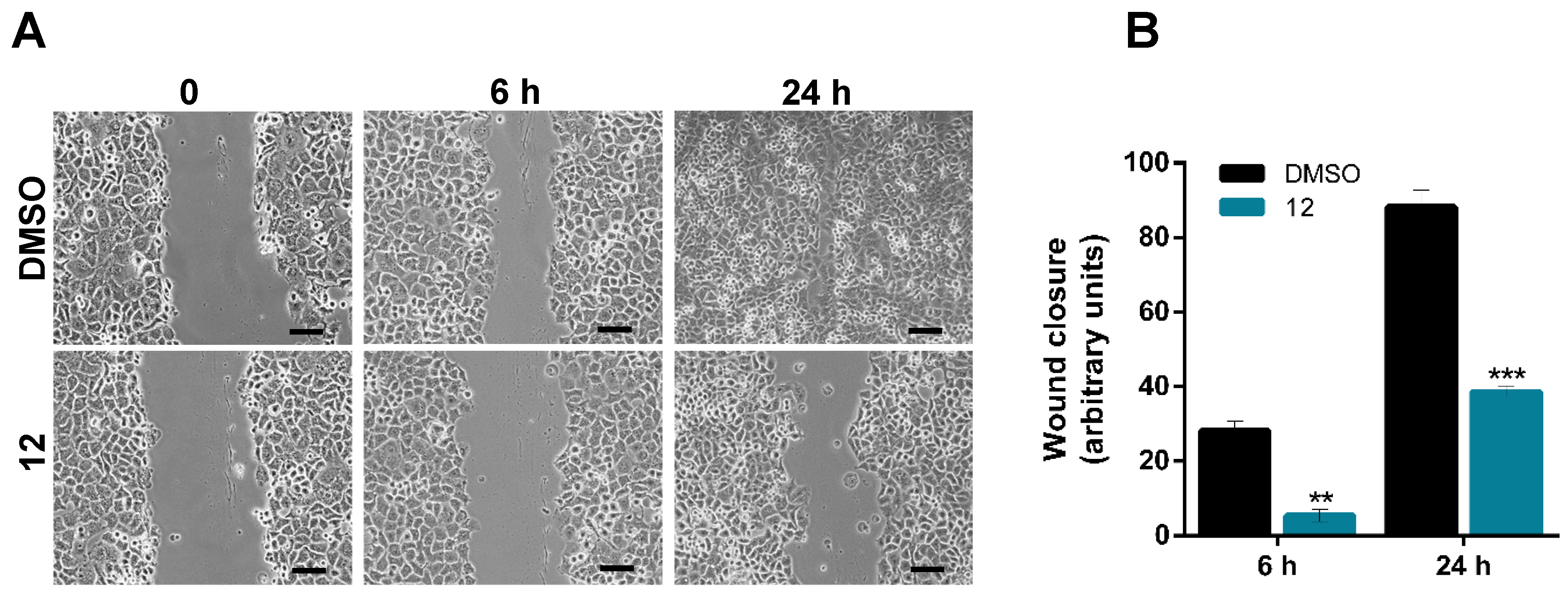 Pharmaceuticals 18 00750 g002