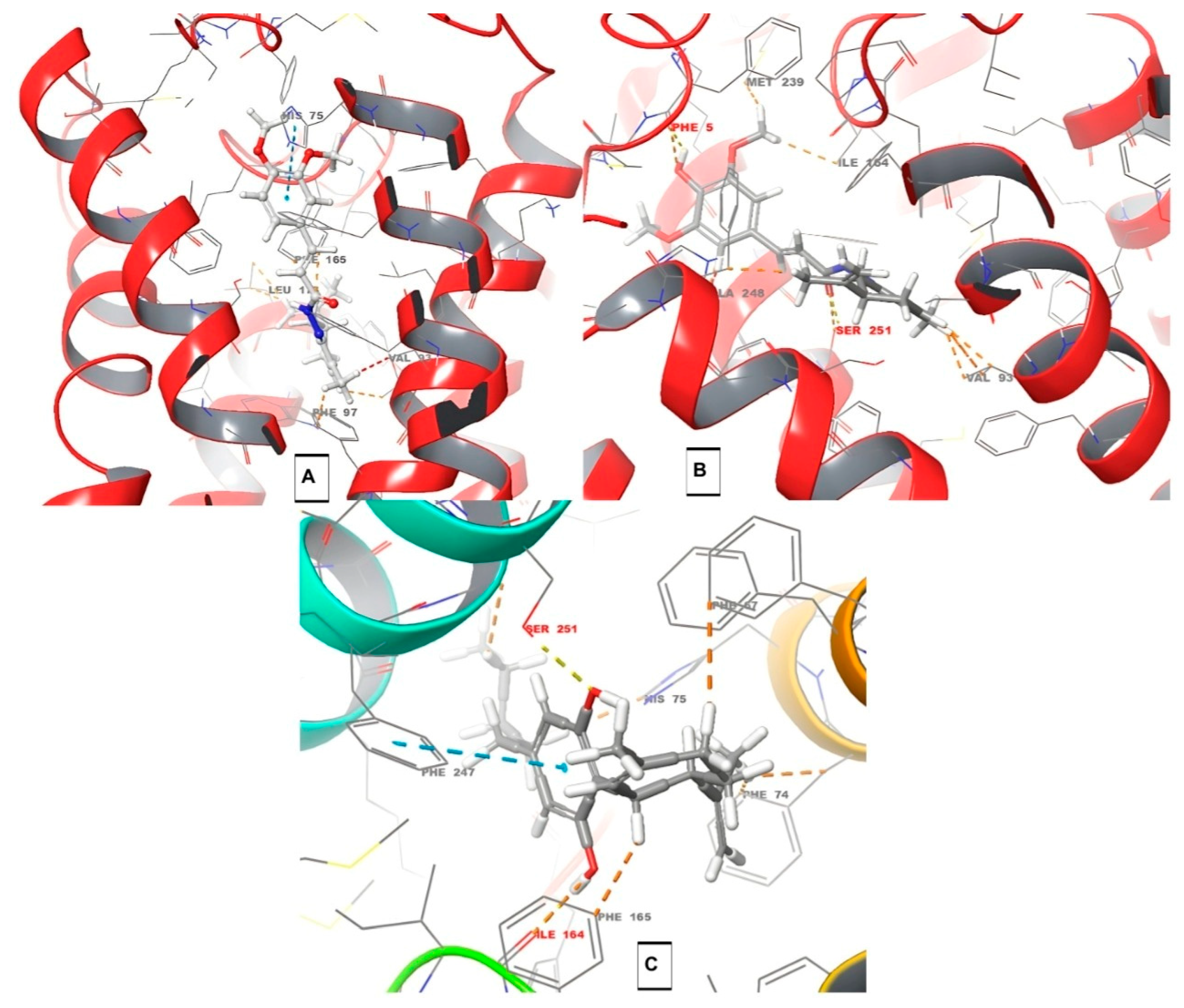 Pharmaceuticals 18 00755 g006