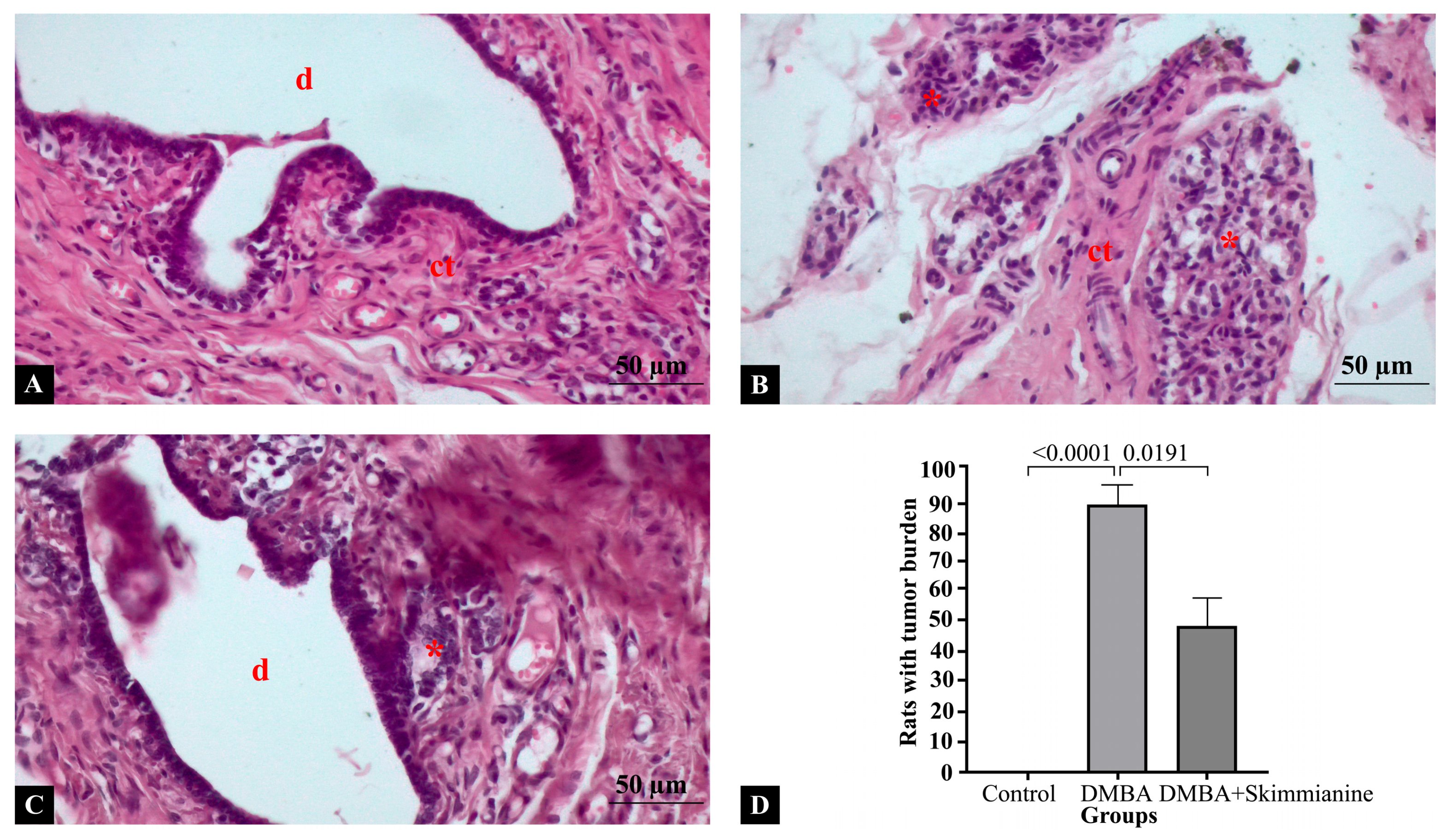 Pharmaceuticals 18 00756 g001