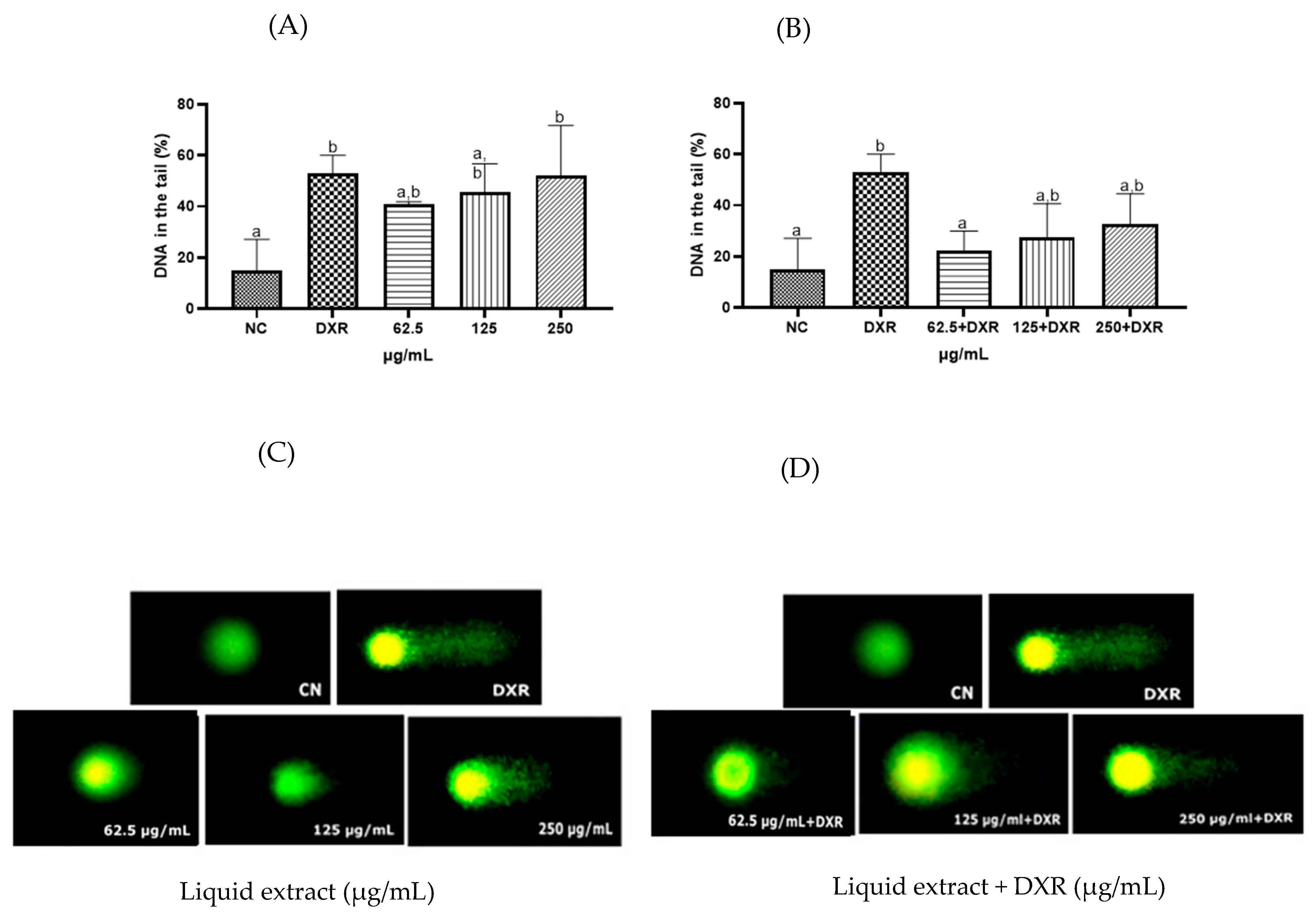 Pharmaceuticals 18 00764 g006