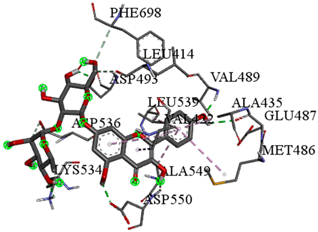 Pharmaceuticals 18 00765 i012