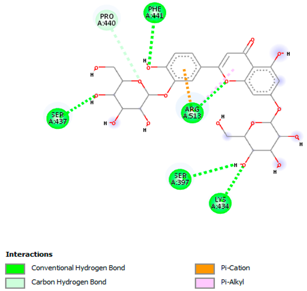 Pharmaceuticals 18 00765 i019