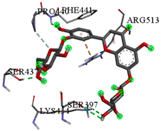 Pharmaceuticals 18 00765 i020