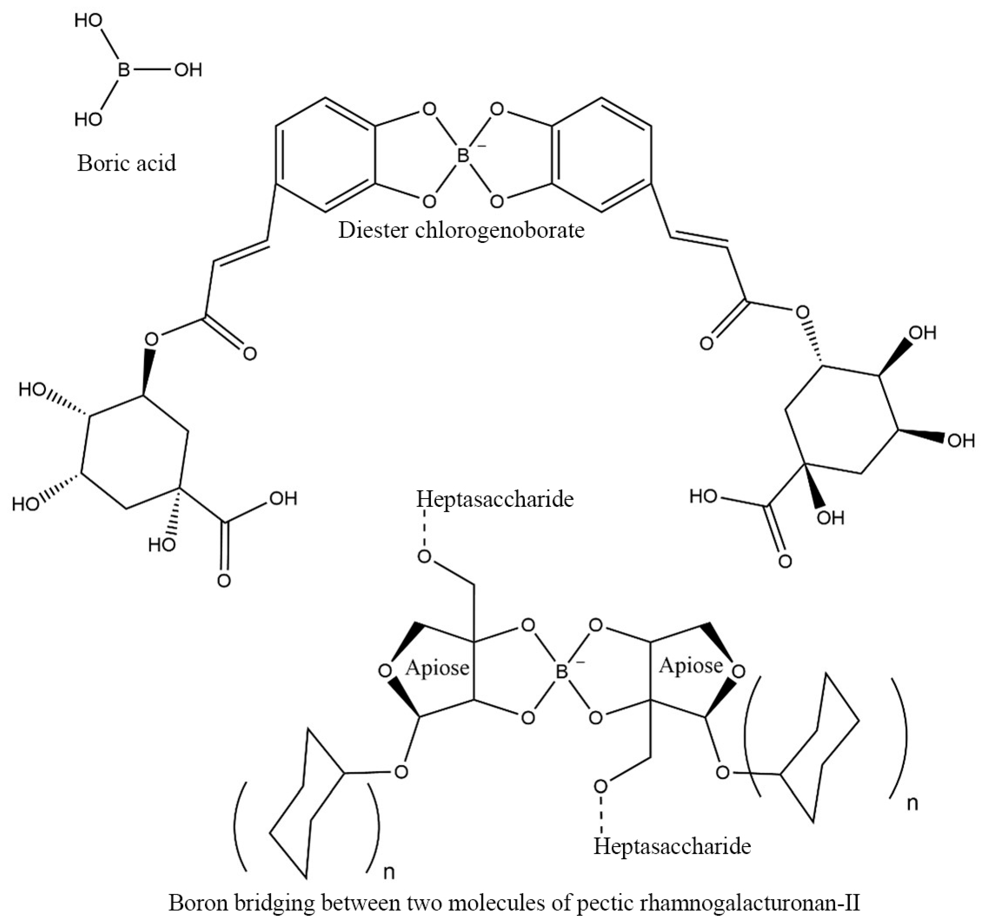 Pharmaceuticals 18 00766 g001 Pharmaceuticals 18 00766 g001
