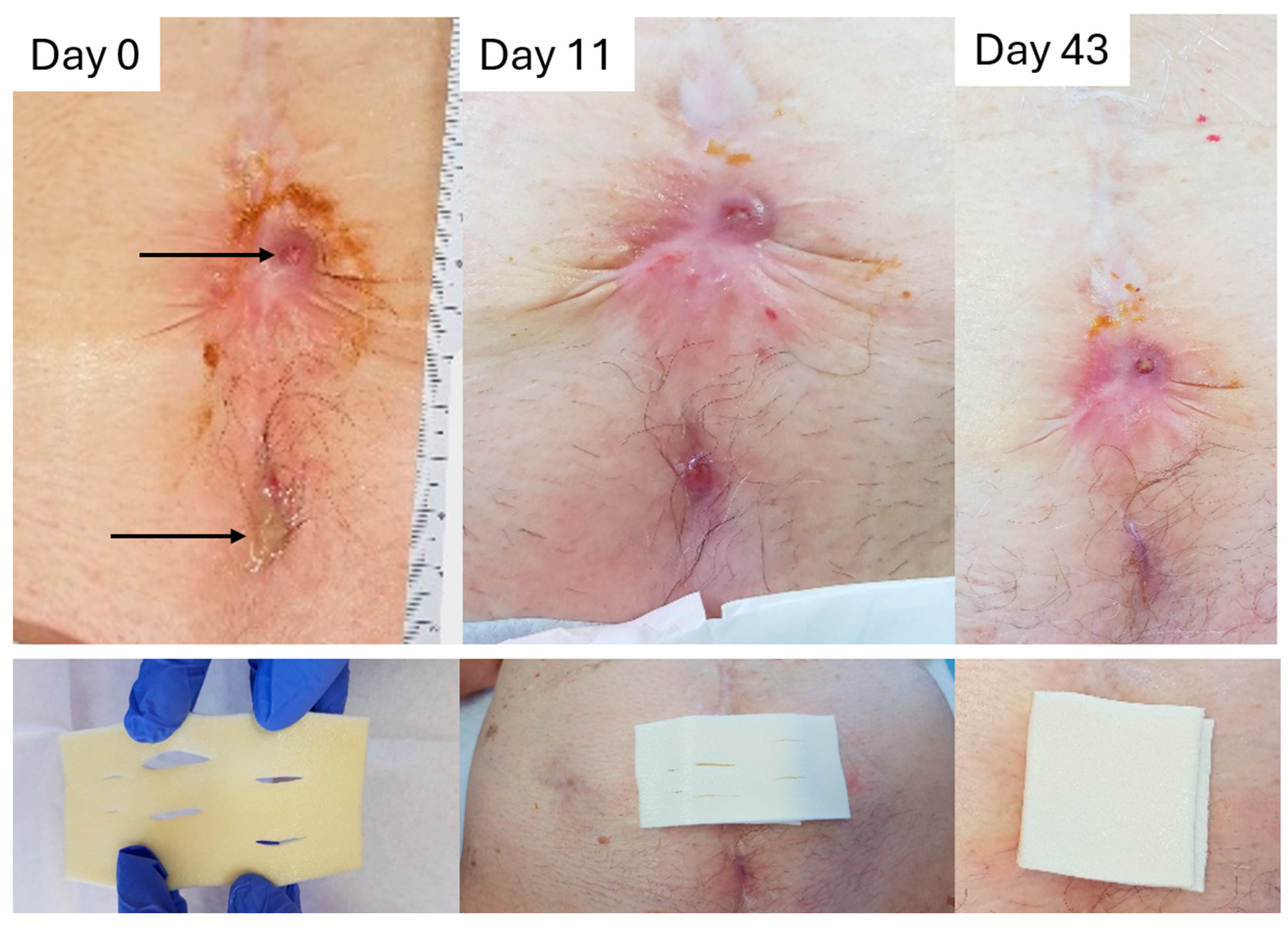 Pharmaceuticals 18 00768 g007