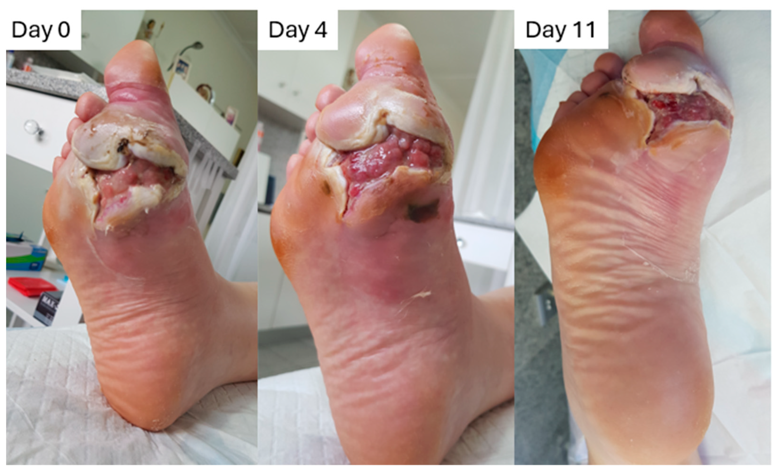 Pharmaceuticals 18 00768 g009