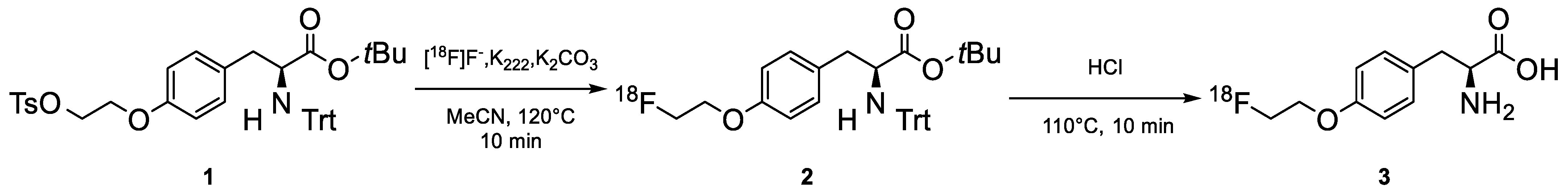 Pharmaceuticals 18 00769 g001