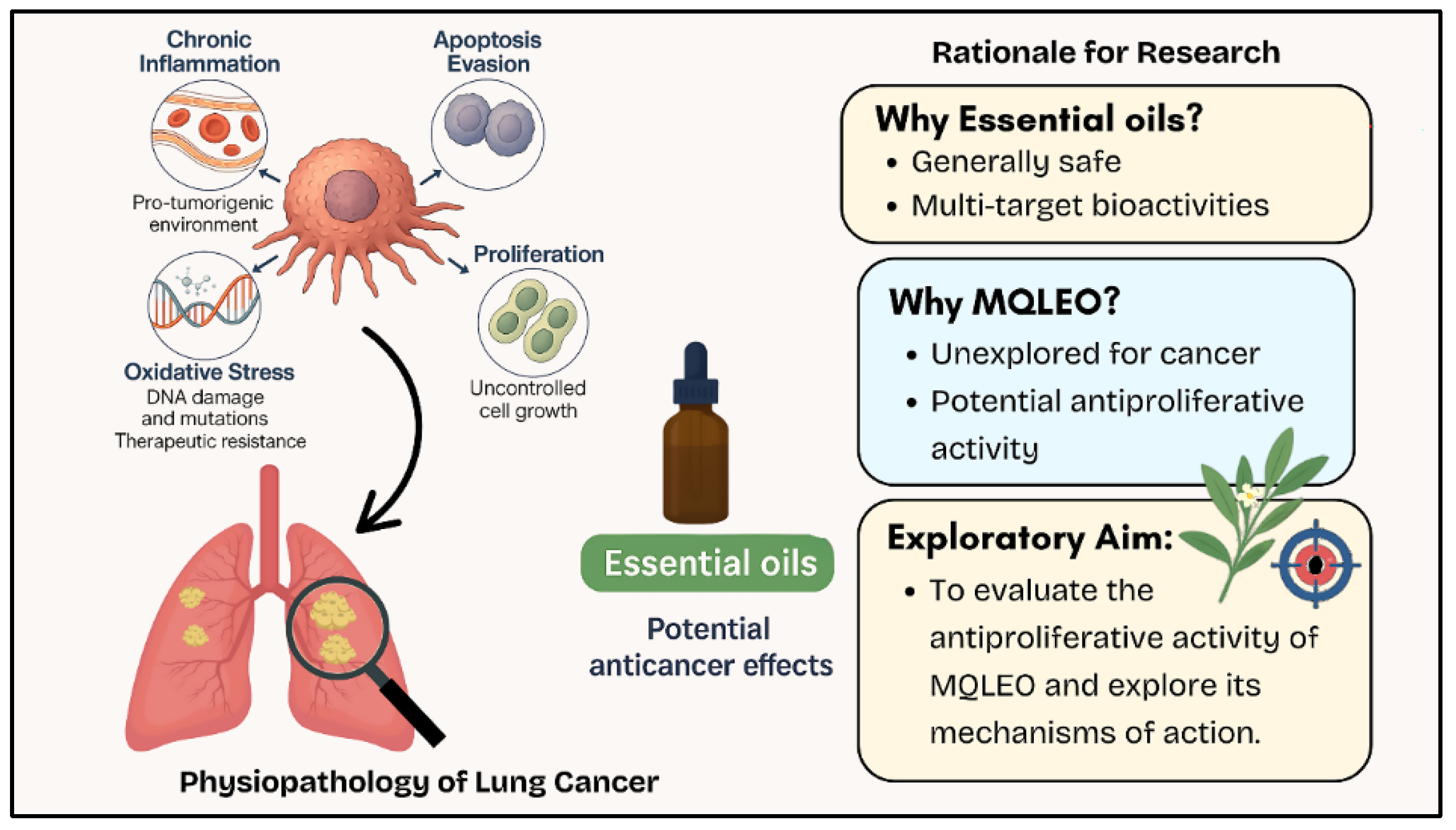 Pharmaceuticals 18 00771 g001
