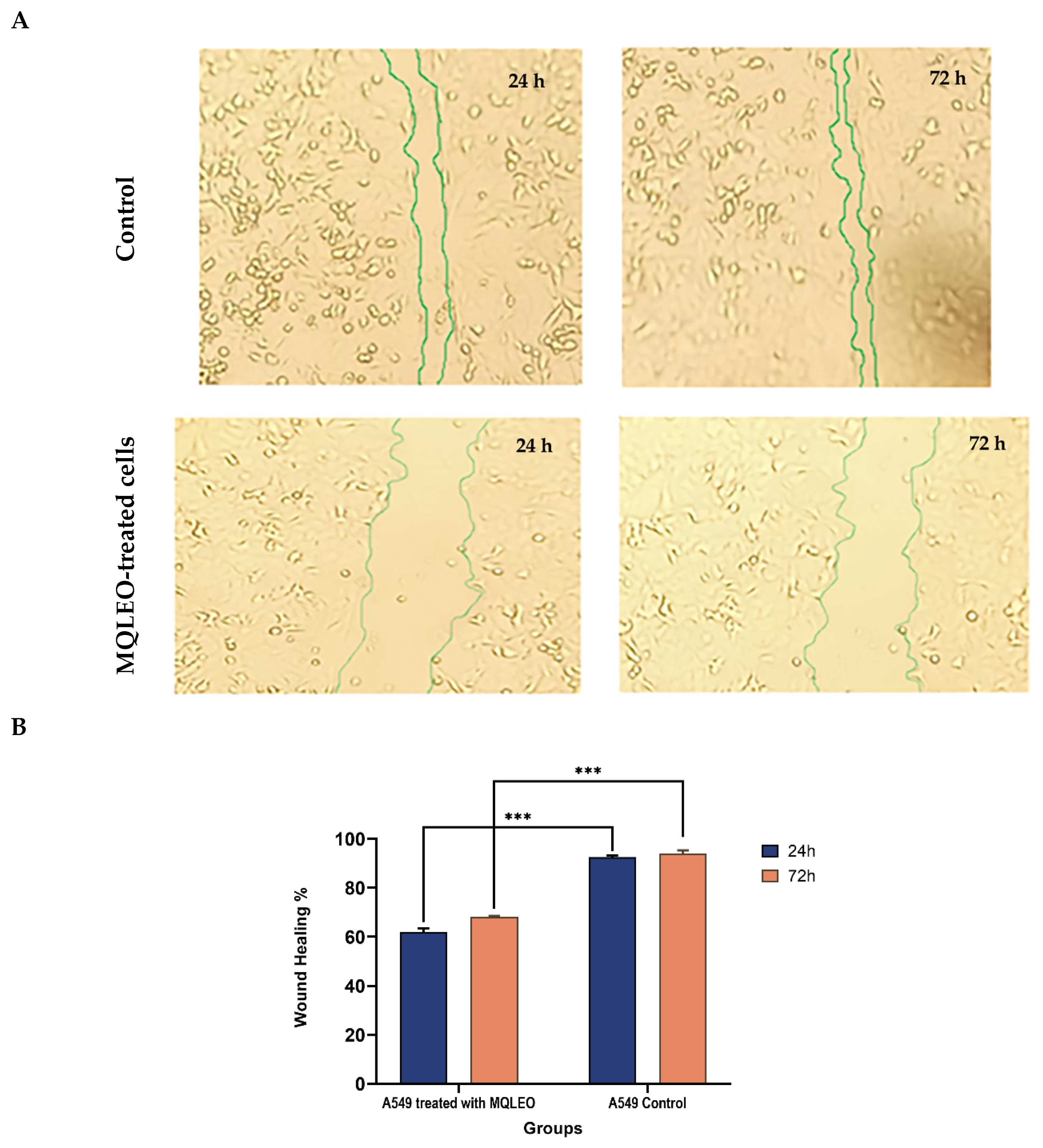 Pharmaceuticals 18 00771 g003