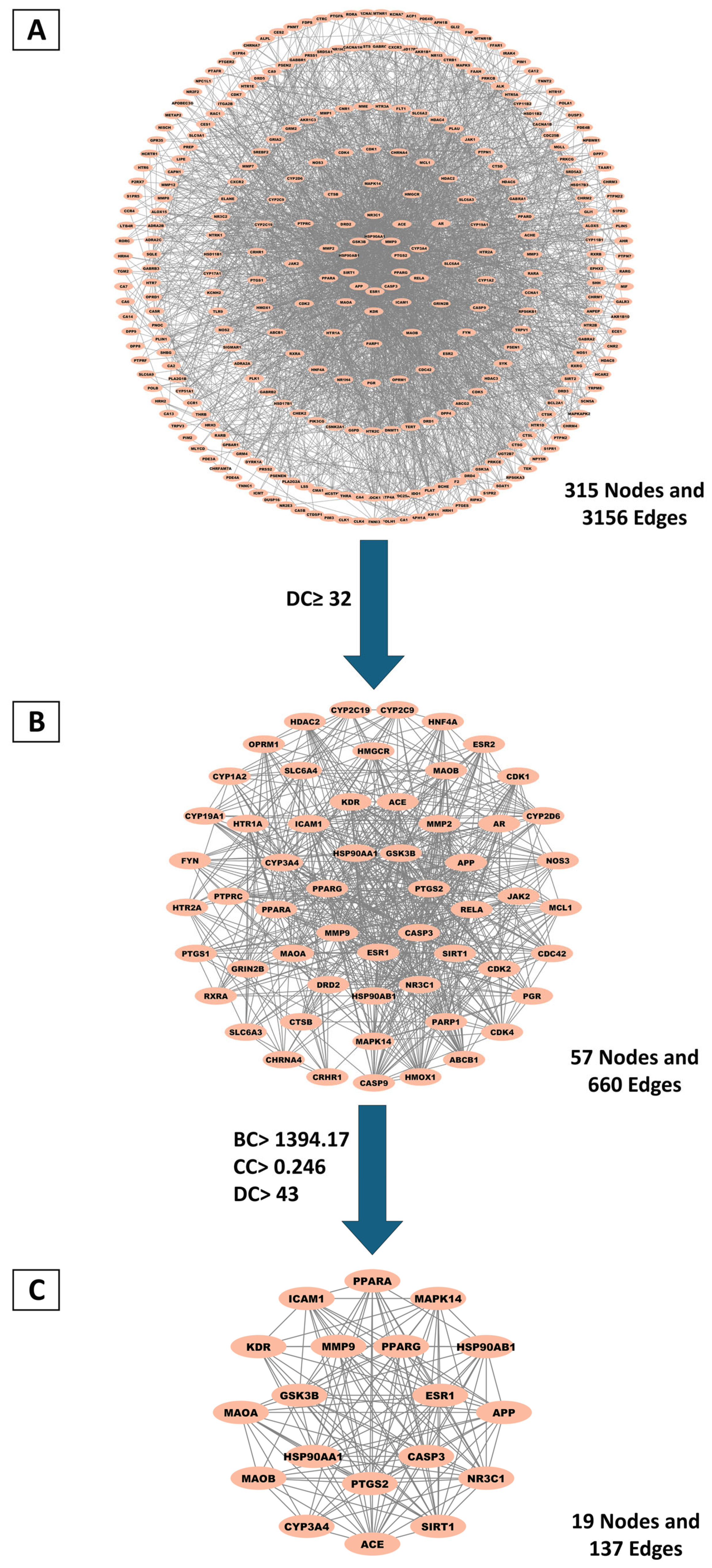 Pharmaceuticals 18 00771 g006