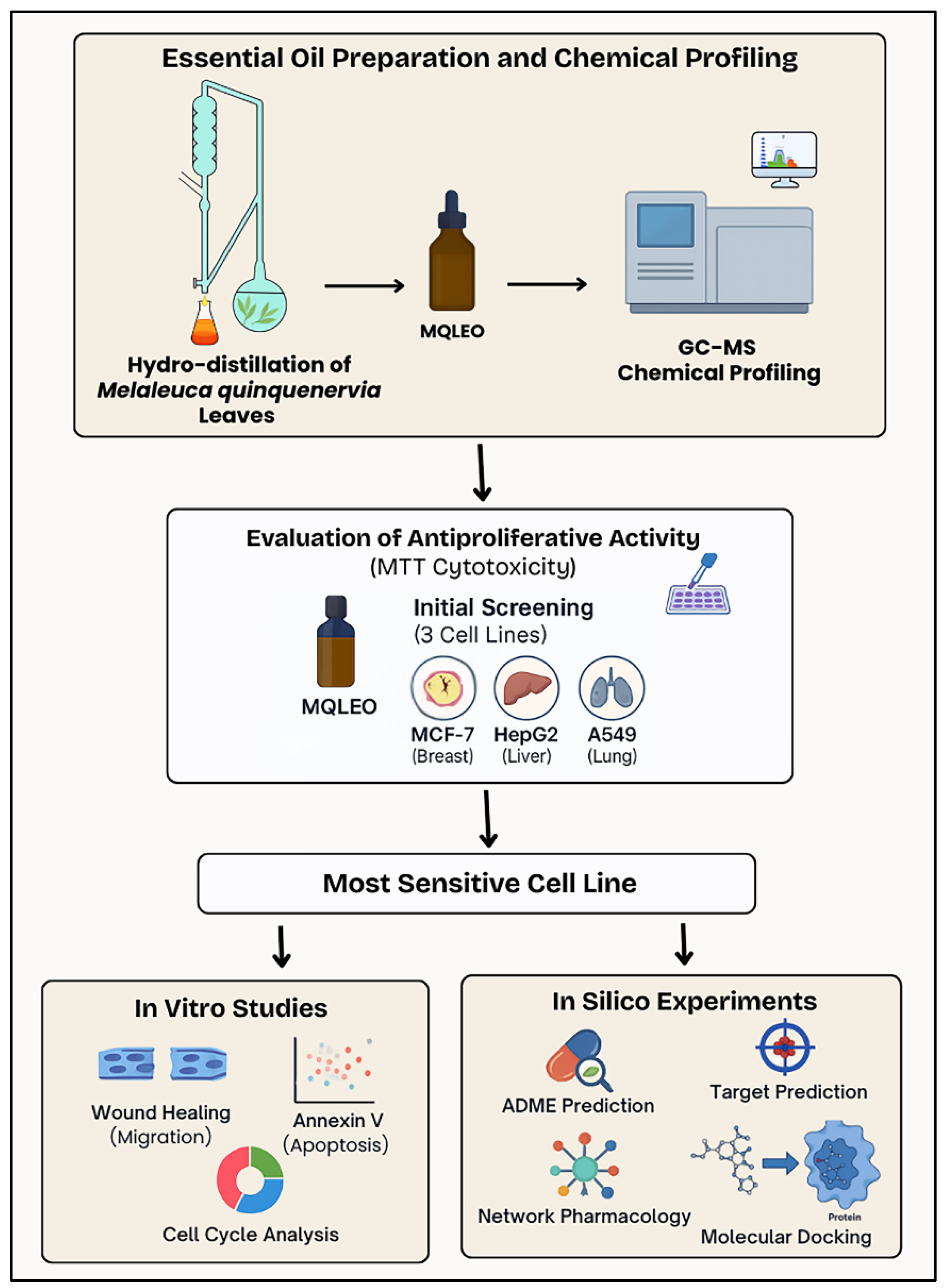 Pharmaceuticals 18 00771 g011