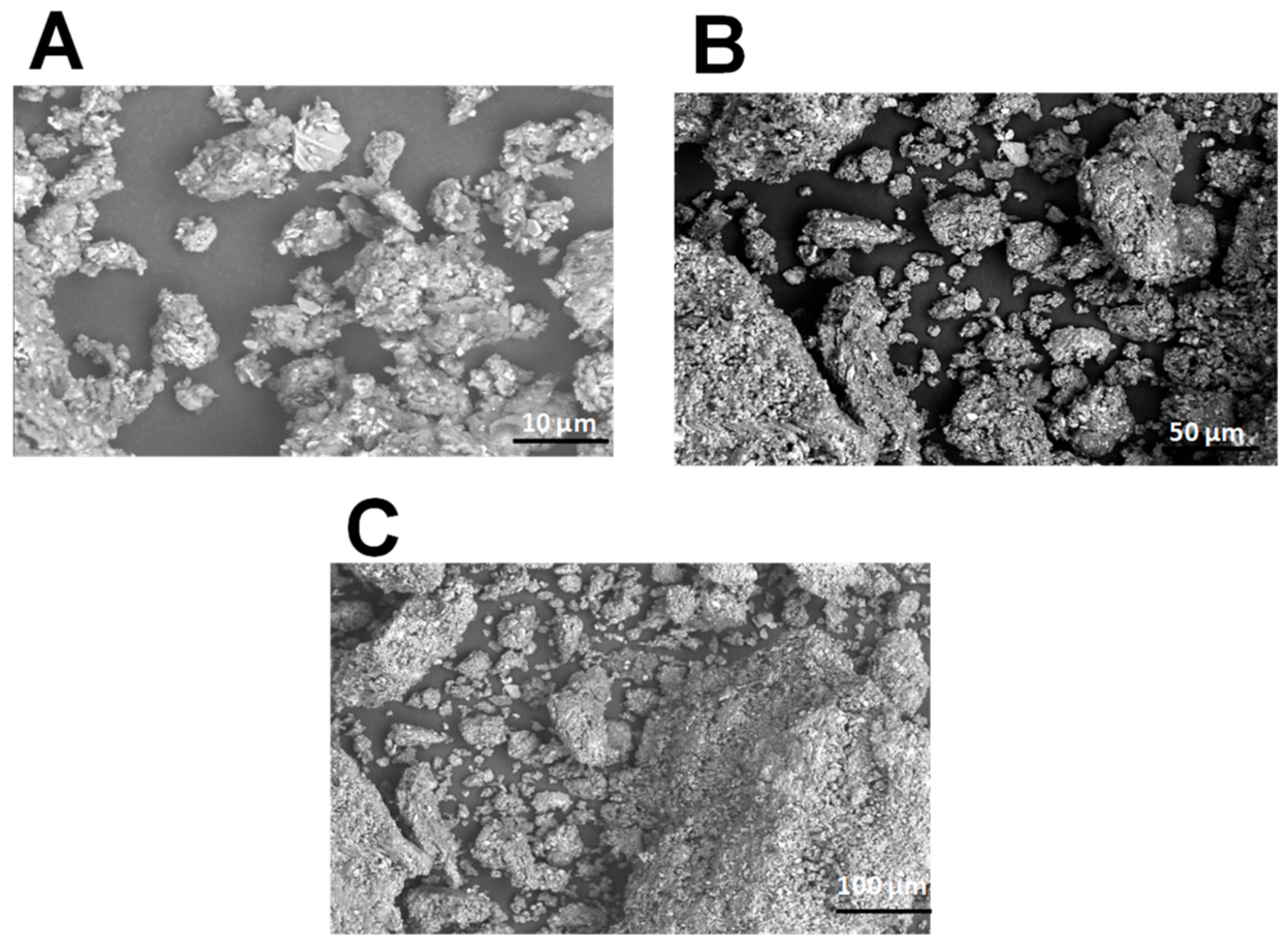 Pharmaceuticals 18 00774 g001