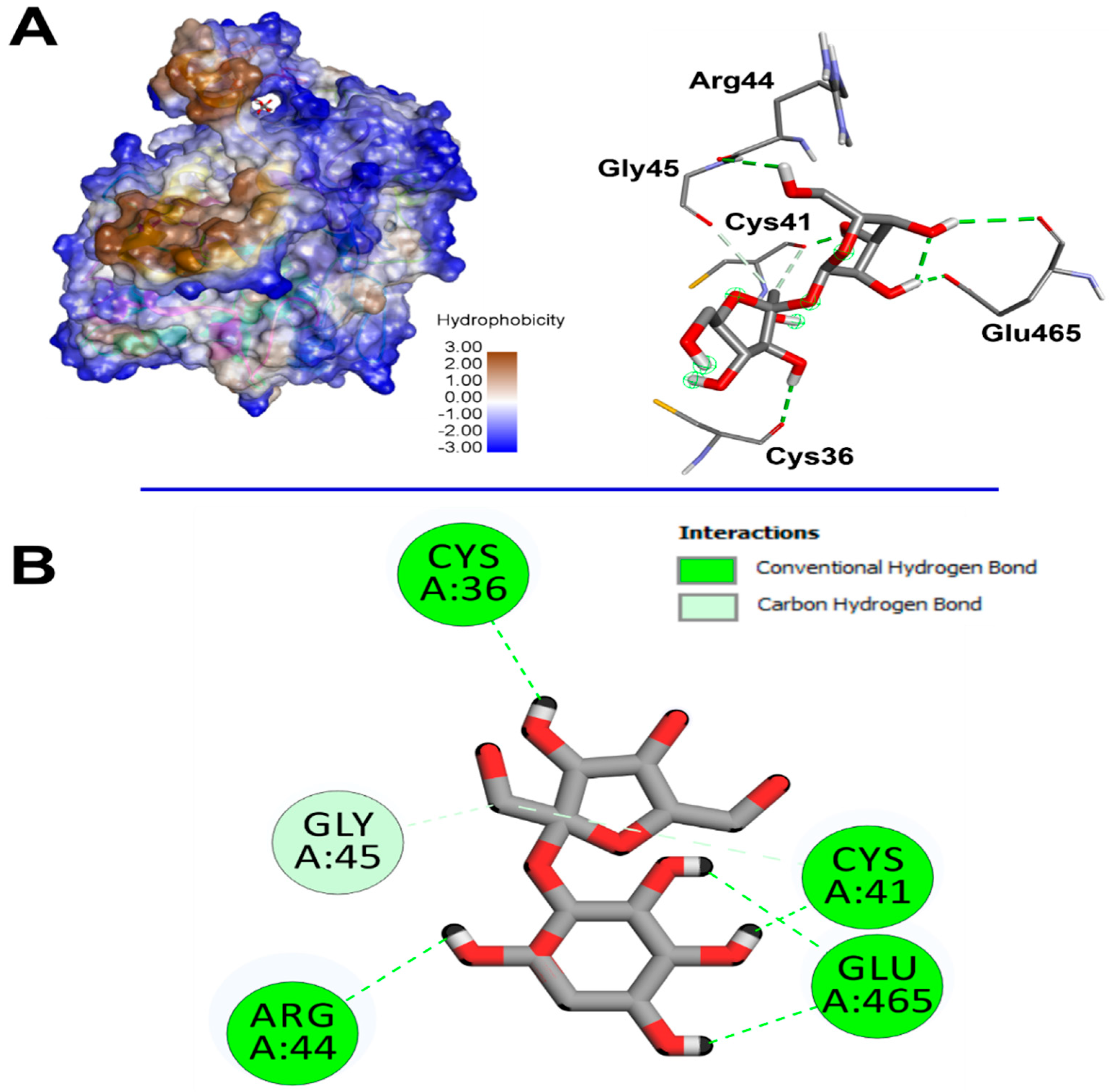 Pharmaceuticals 18 00774 g011