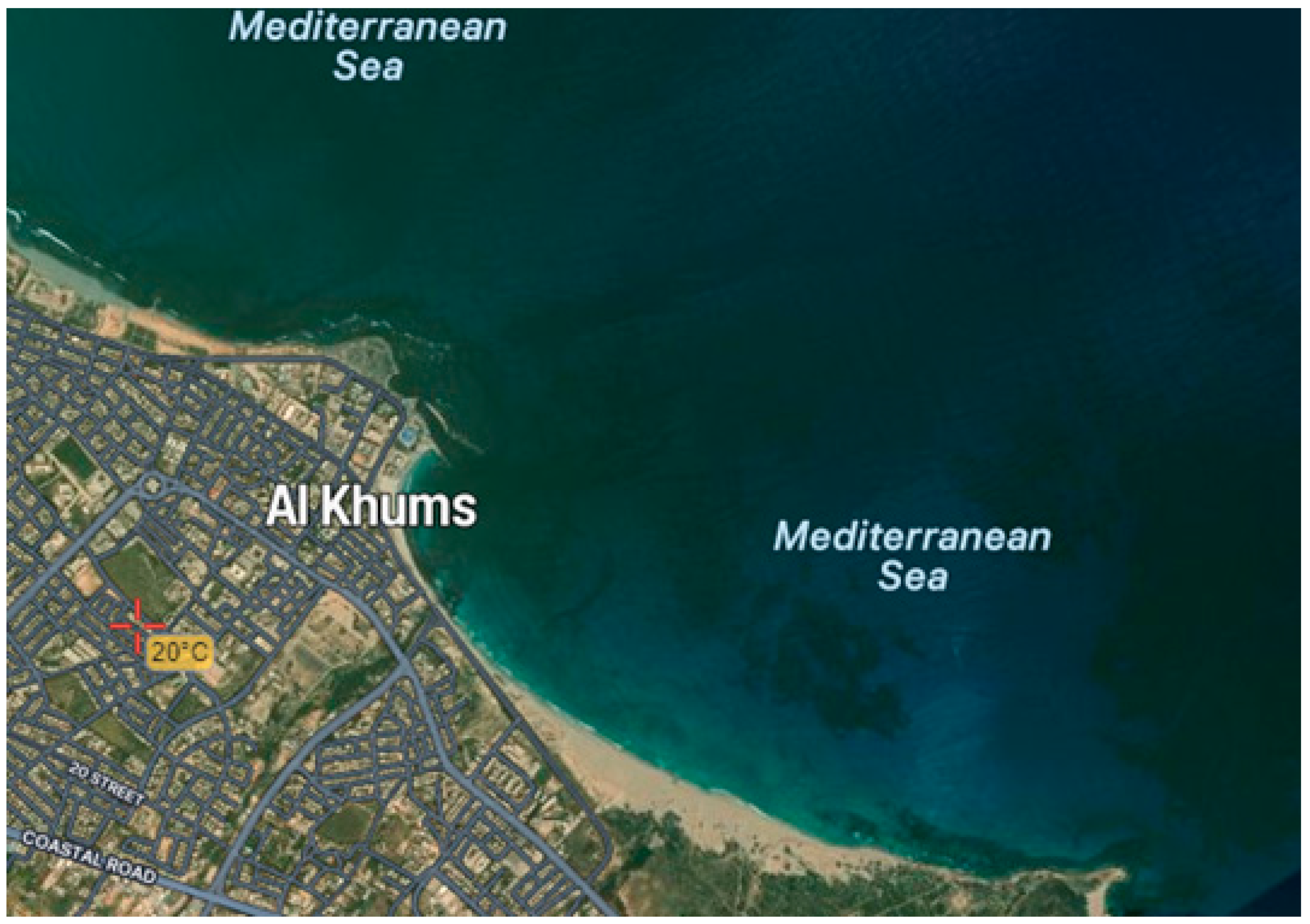 Pharmaceuticals 18 00774 g013