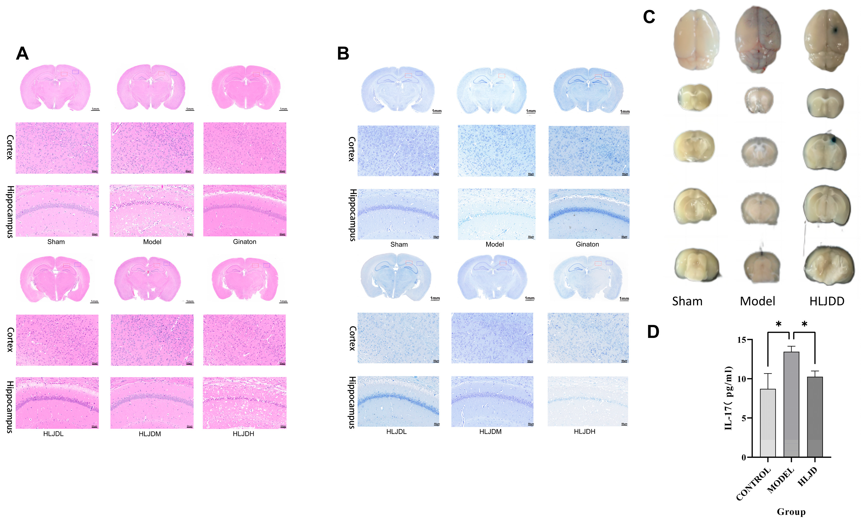 Pharmaceuticals 18 00775 g002