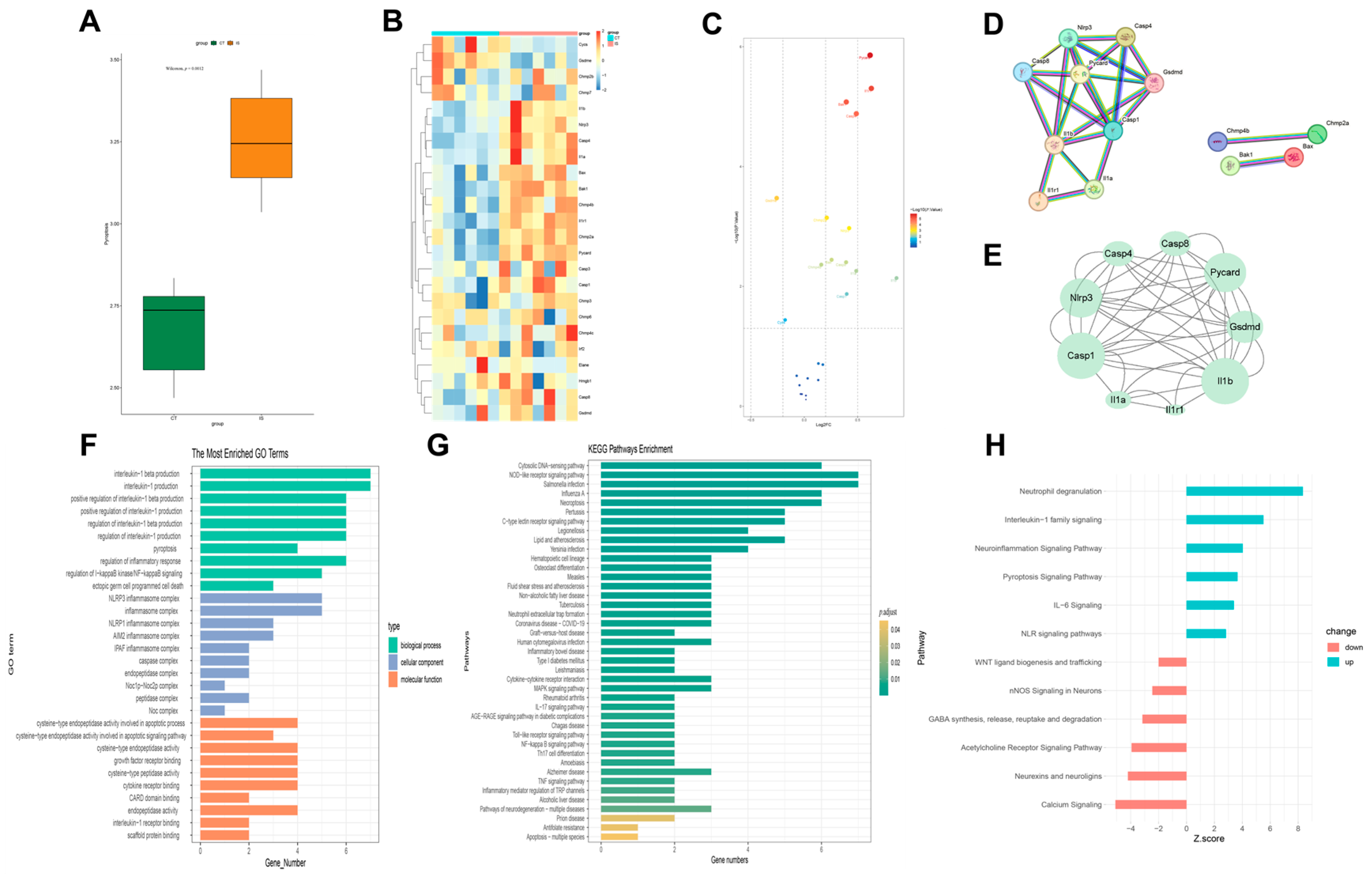 Pharmaceuticals 18 00775 g003