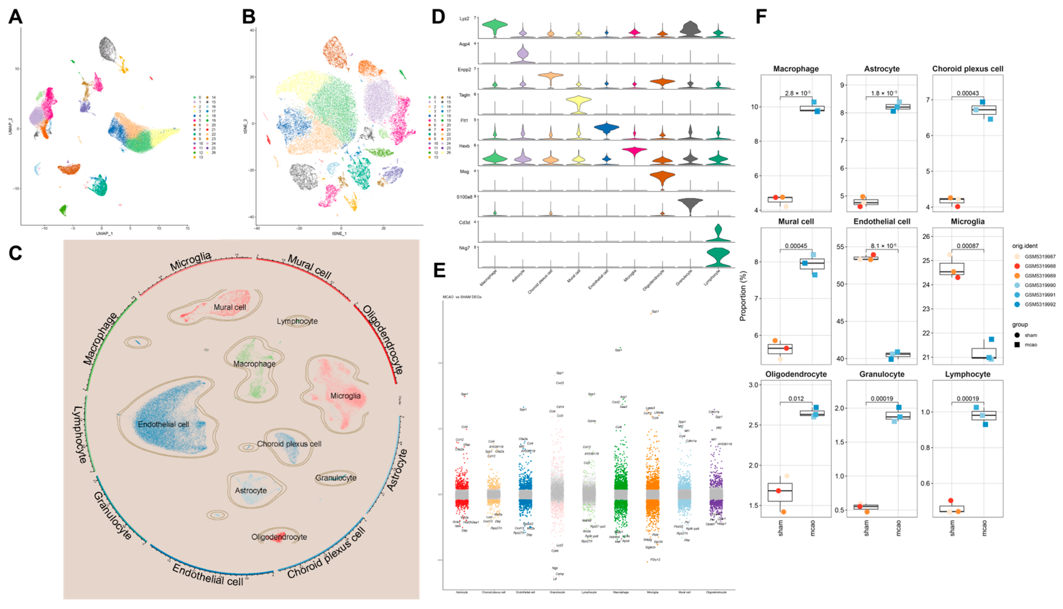 Pharmaceuticals 18 00775 g004