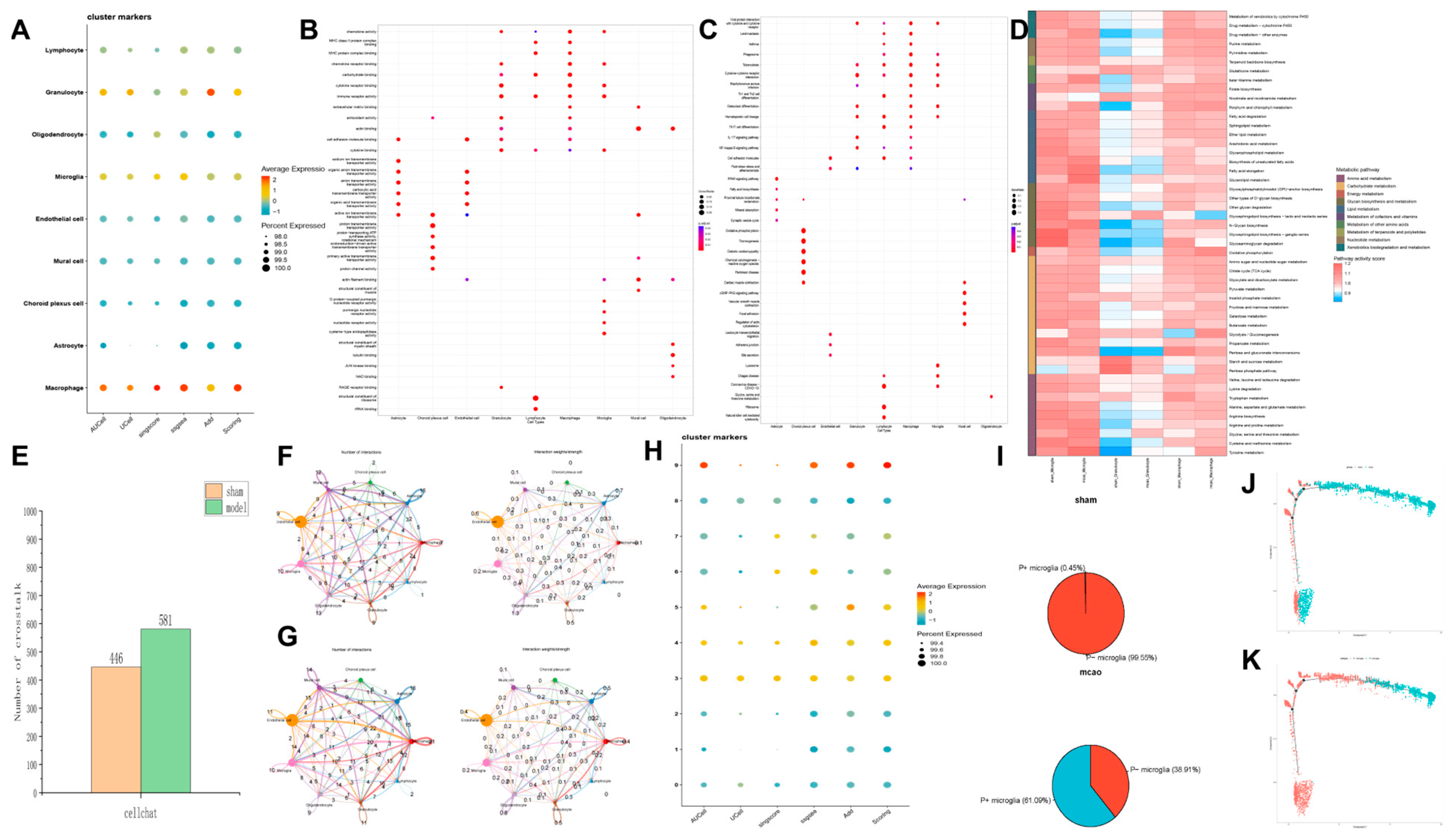Pharmaceuticals 18 00775 g005