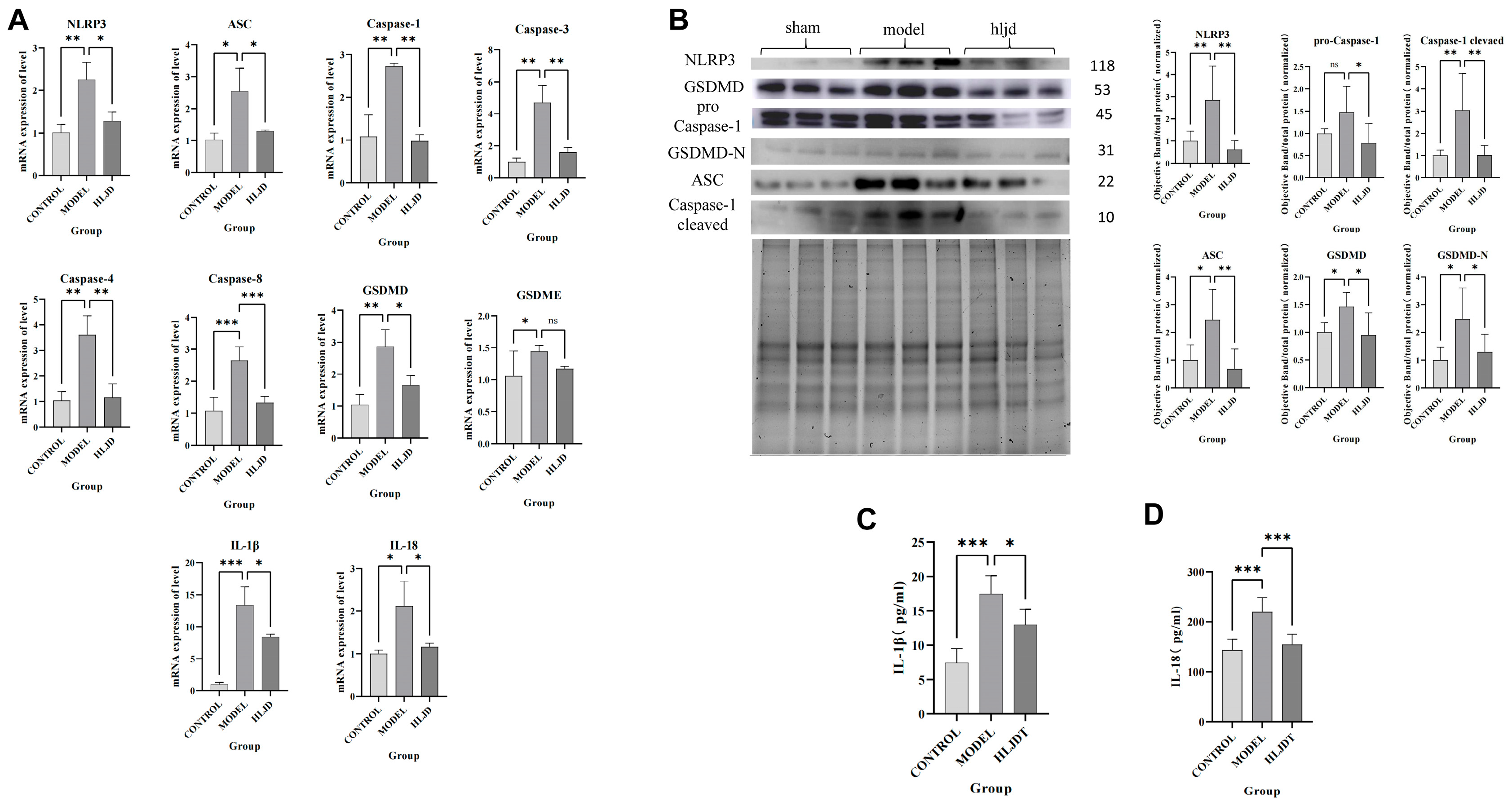 Pharmaceuticals 18 00775 g009