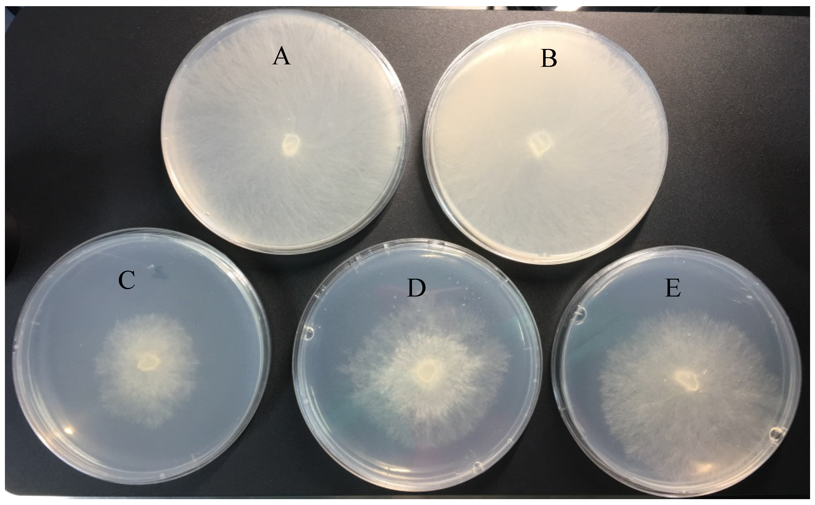 Pharmaceuticals 18 00780 g002