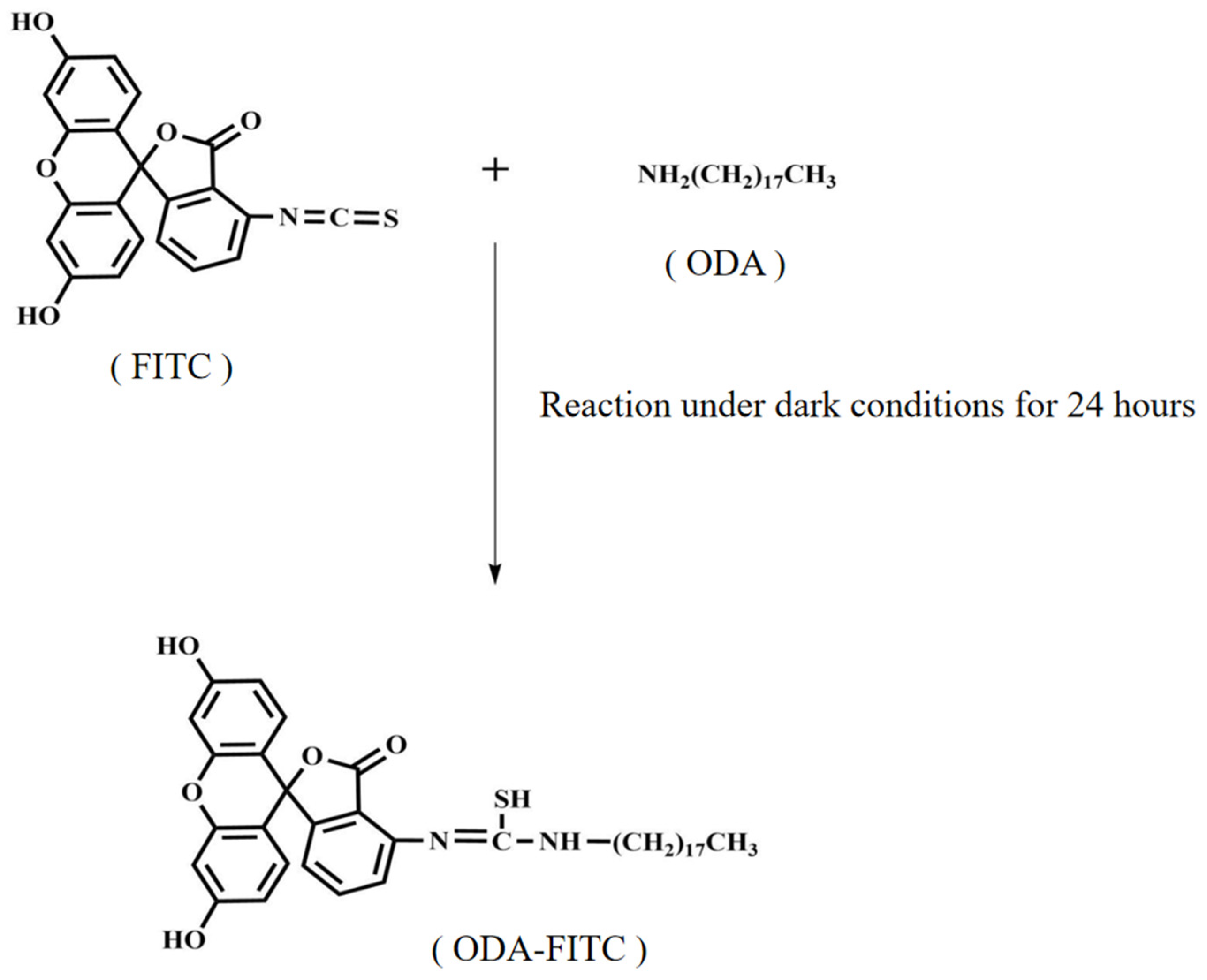 Pharmaceuticals 18 00780 g003