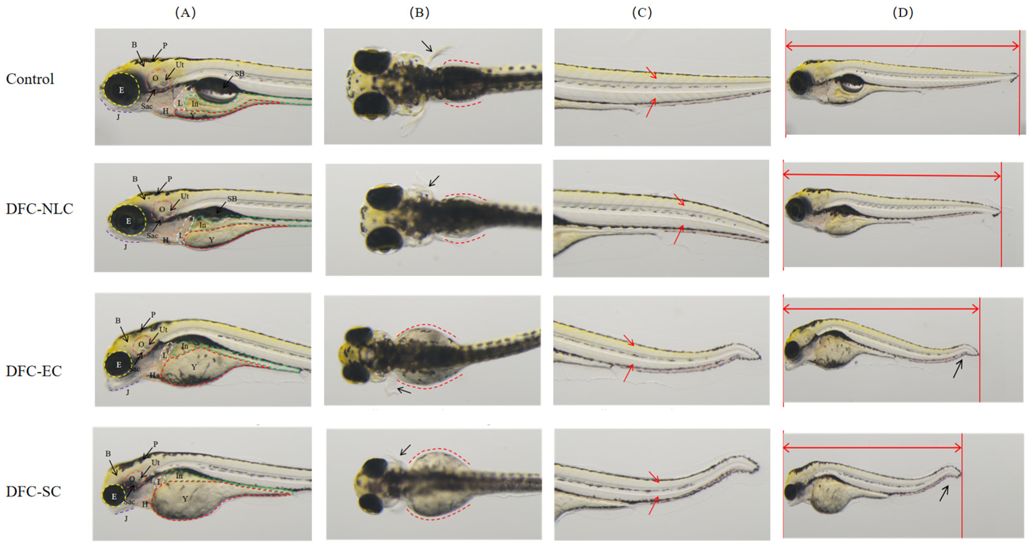Pharmaceuticals 18 00780 g006