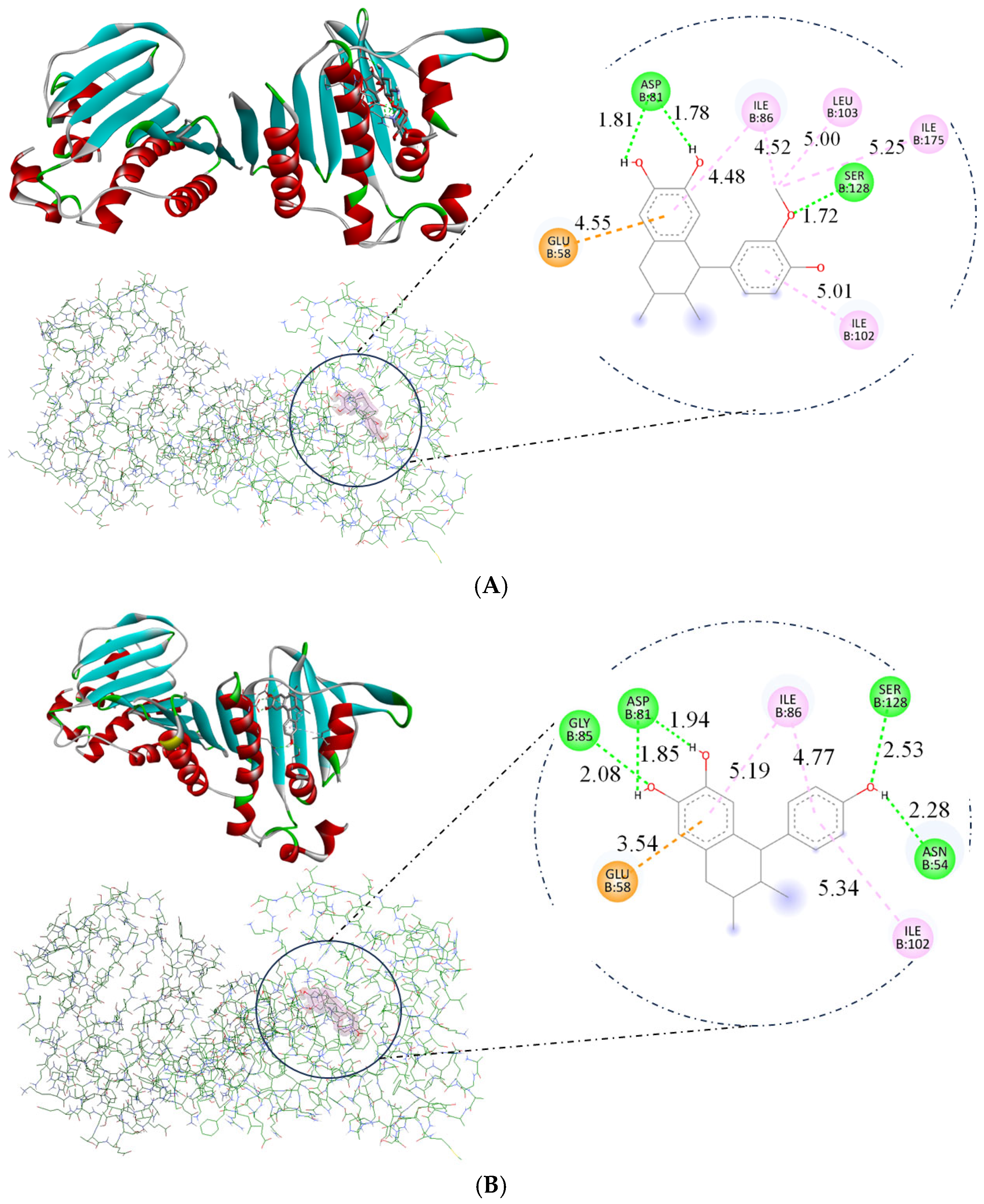 Pharmaceuticals 18 00781 g008