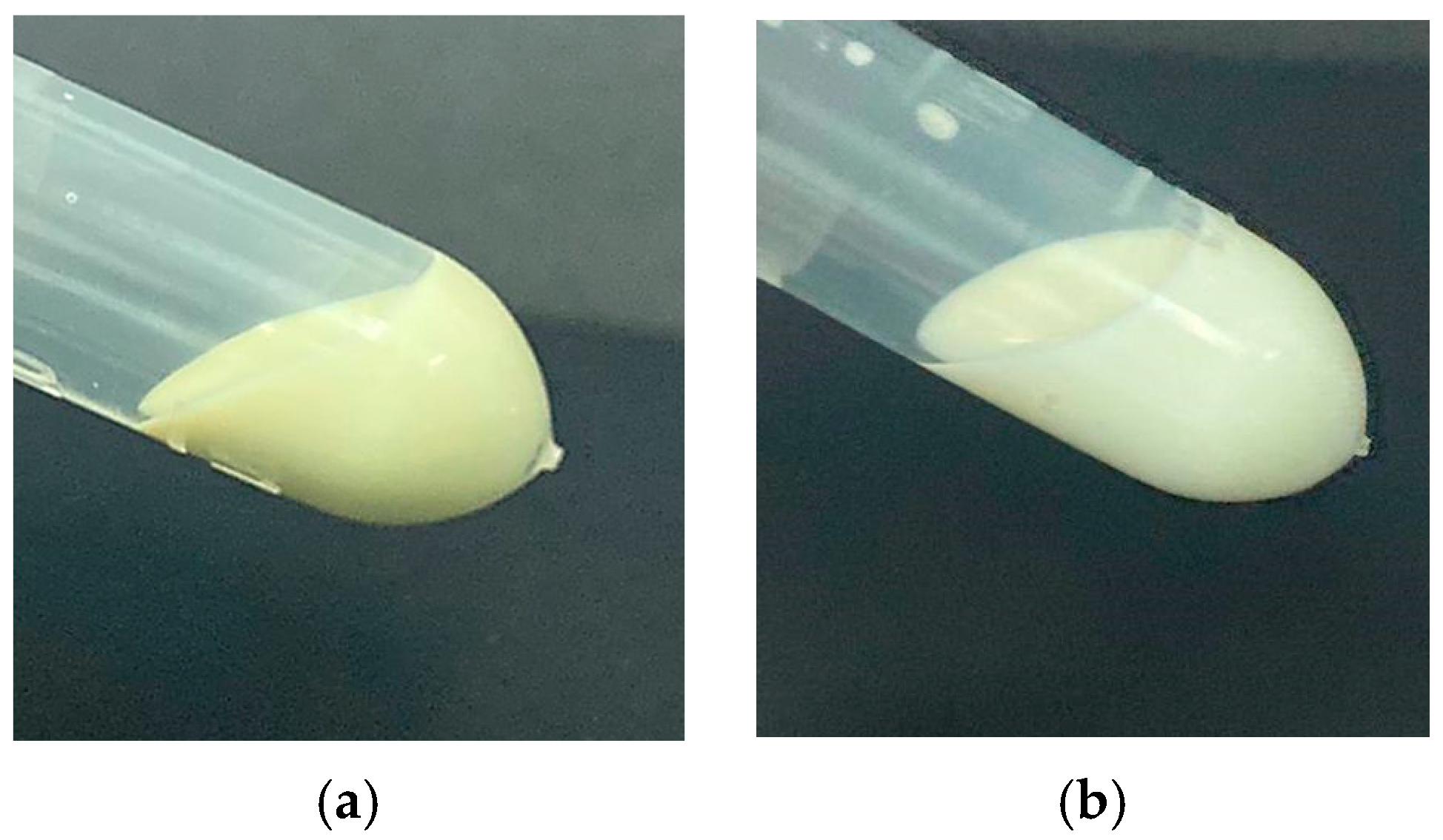 Pharmaceuticals 18 00782 g001