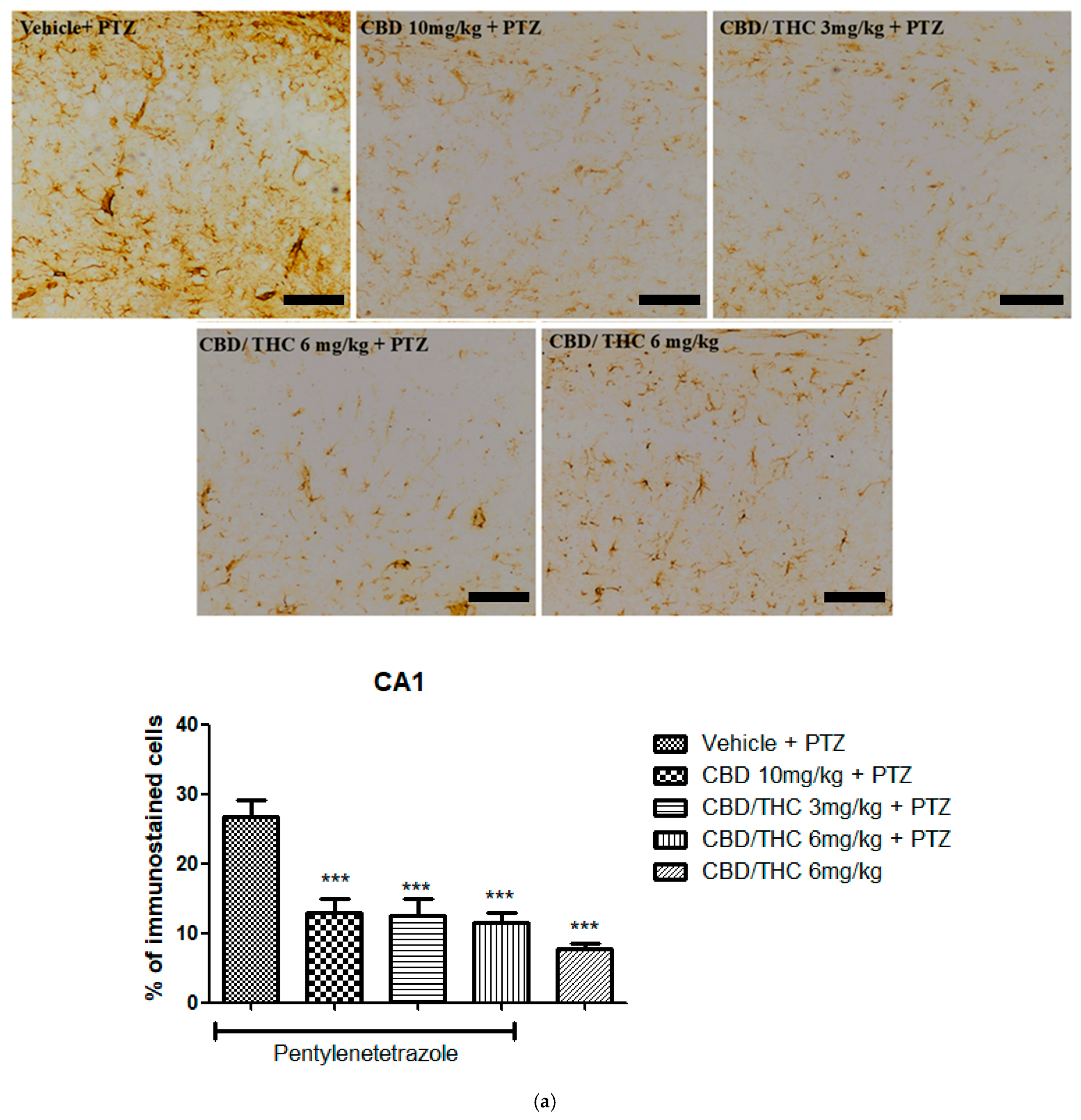 Pharmaceuticals 18 00782 g010a