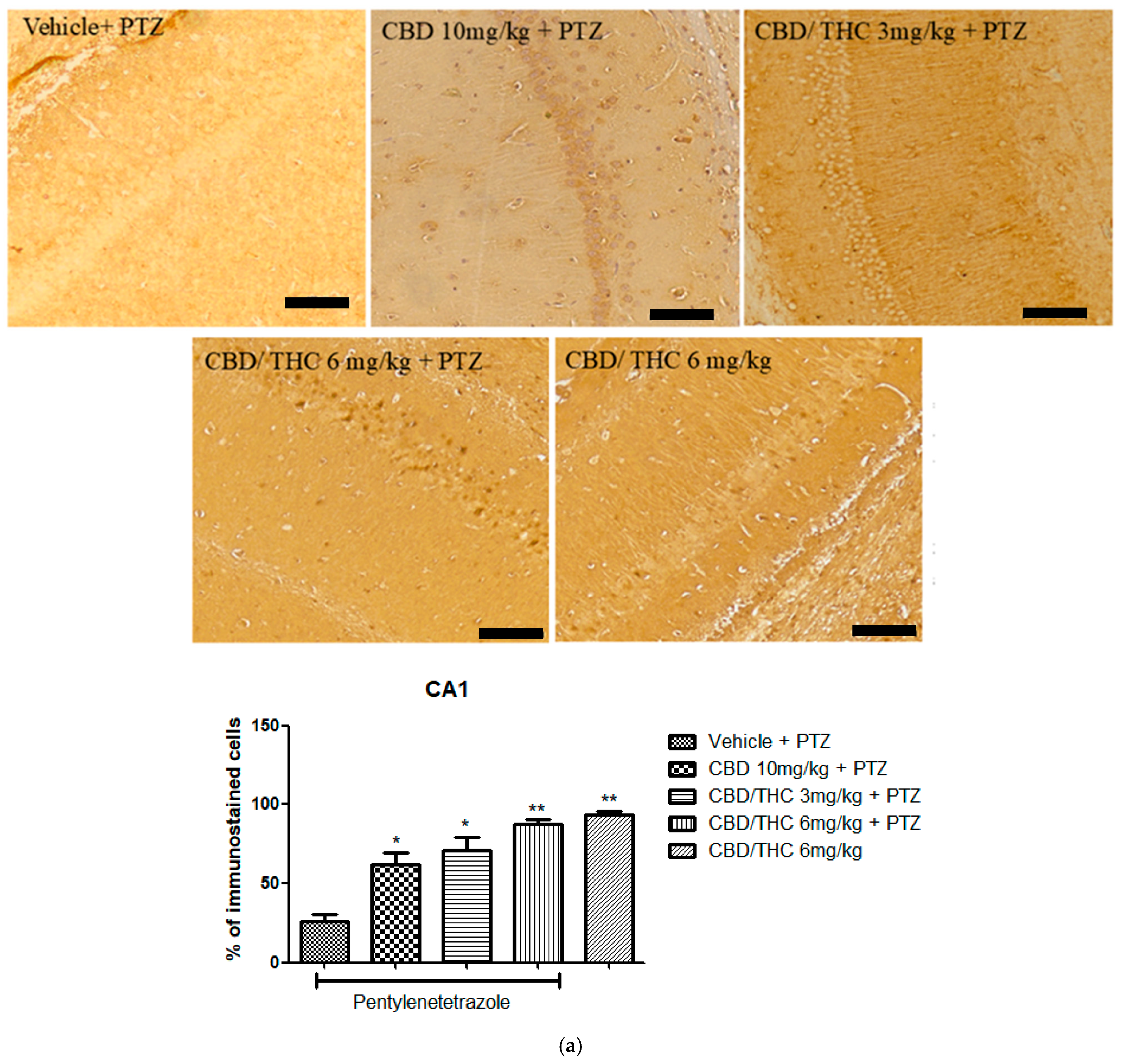 Pharmaceuticals 18 00782 g012a
