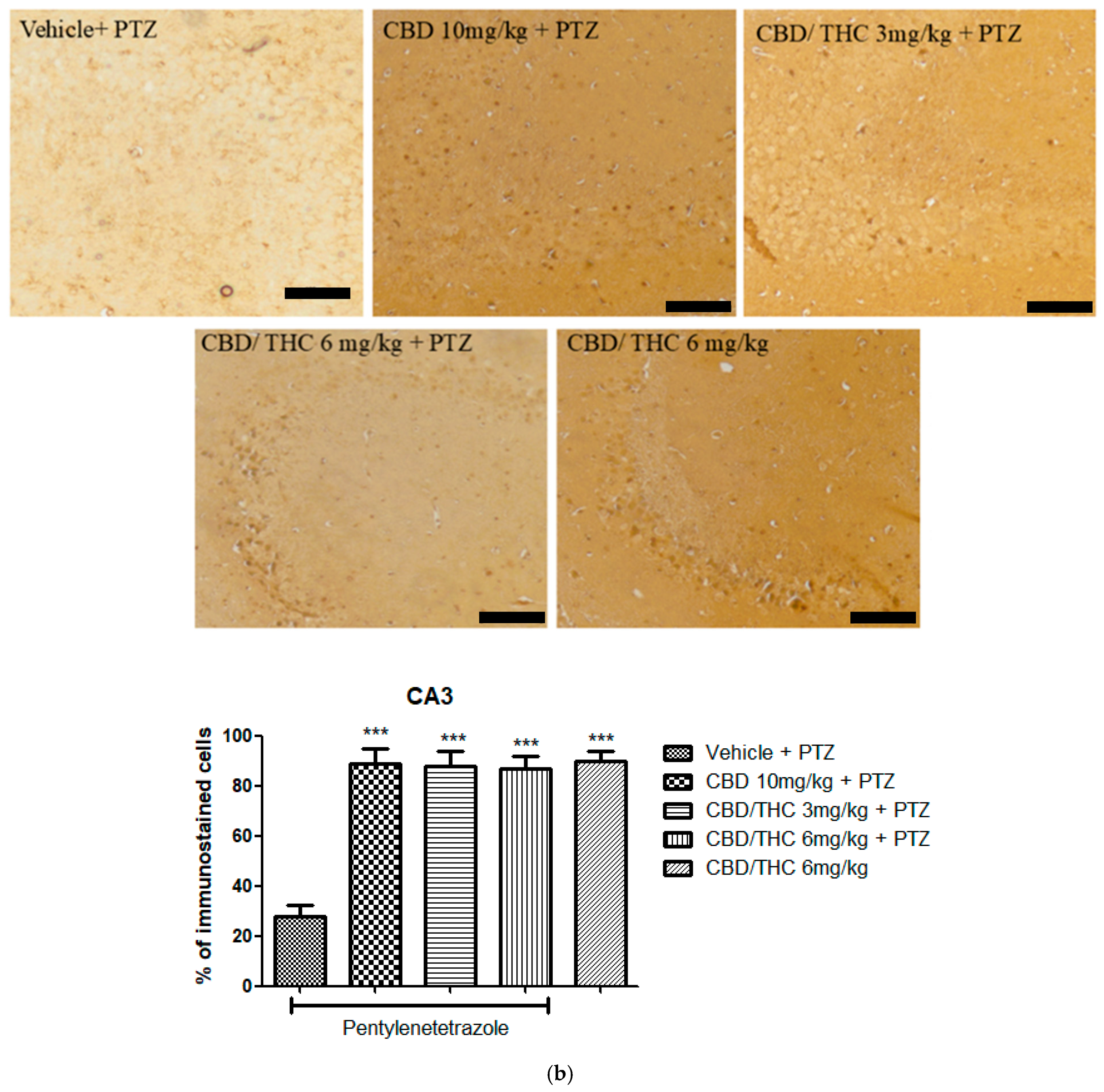 Pharmaceuticals 18 00782 g012b