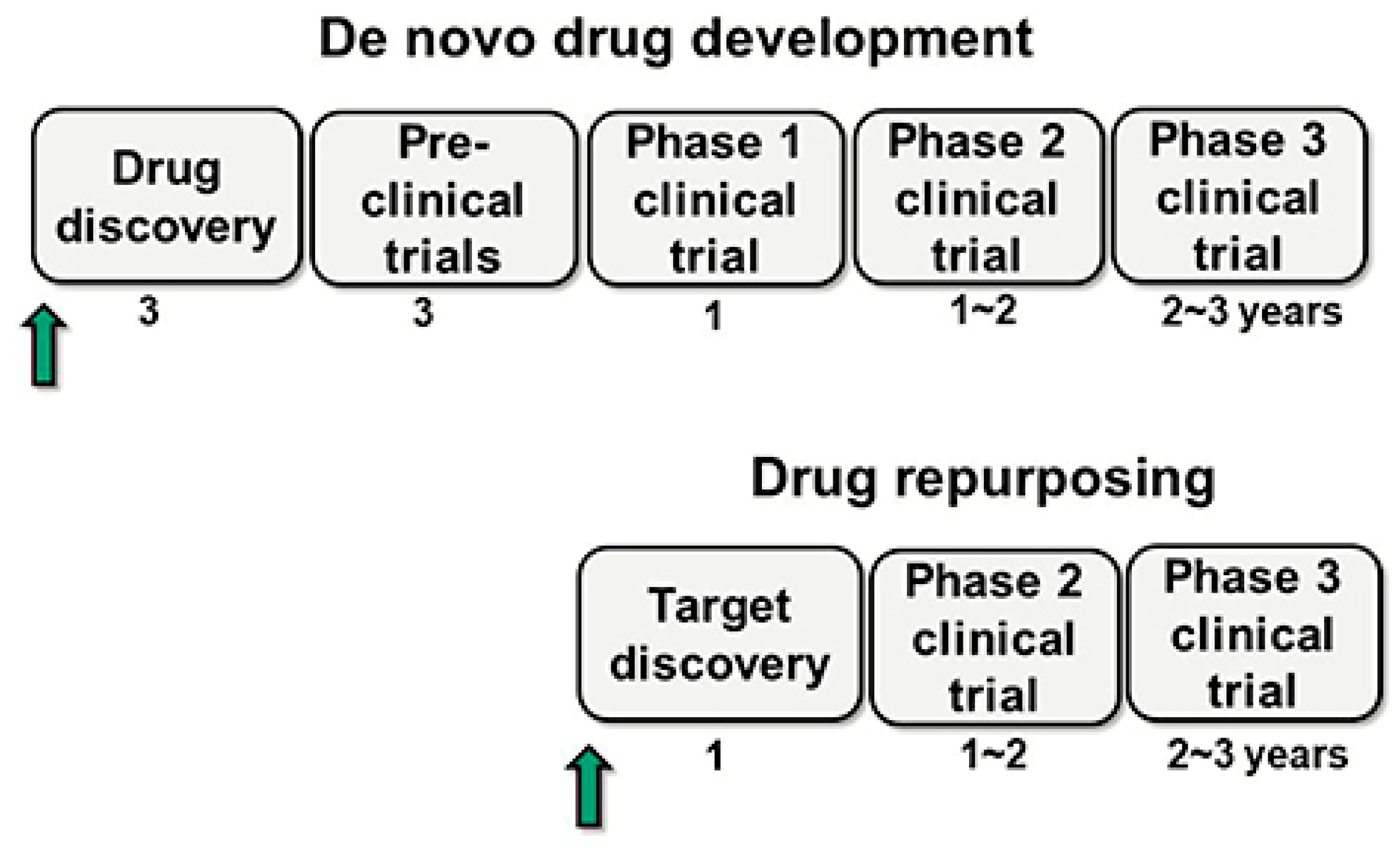 Pharmaceuticals 18 00788 g005