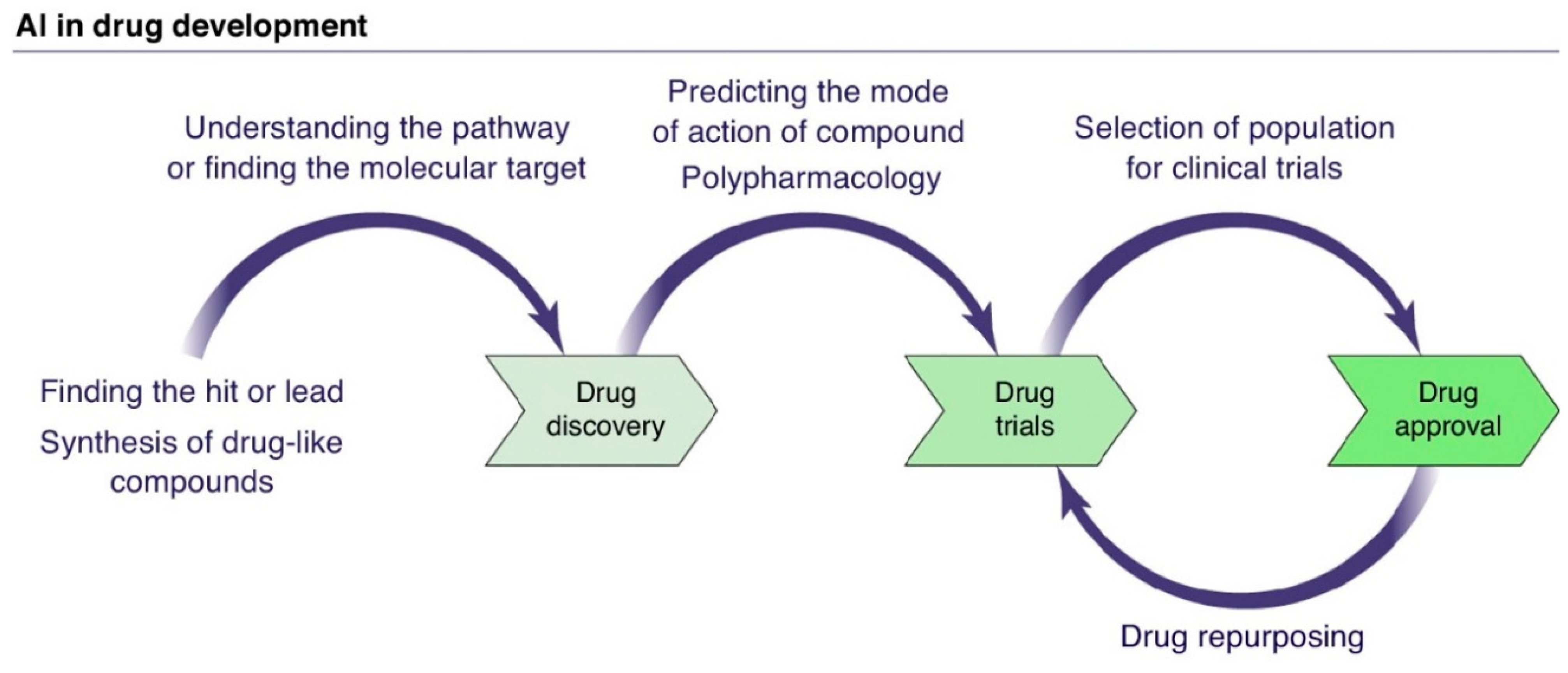 Pharmaceuticals 18 00788 g006
